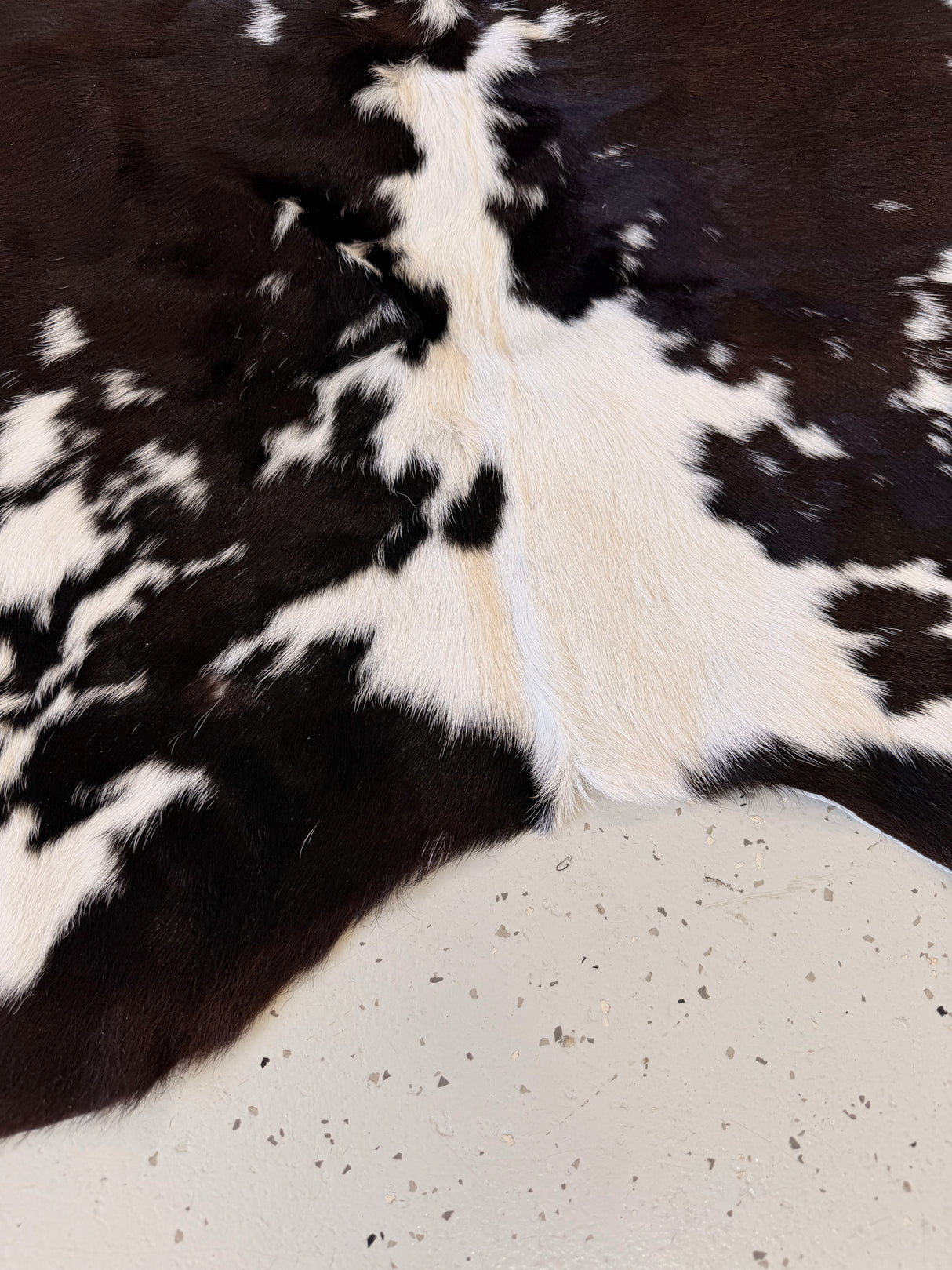 Calf Hide Floor Rug 080