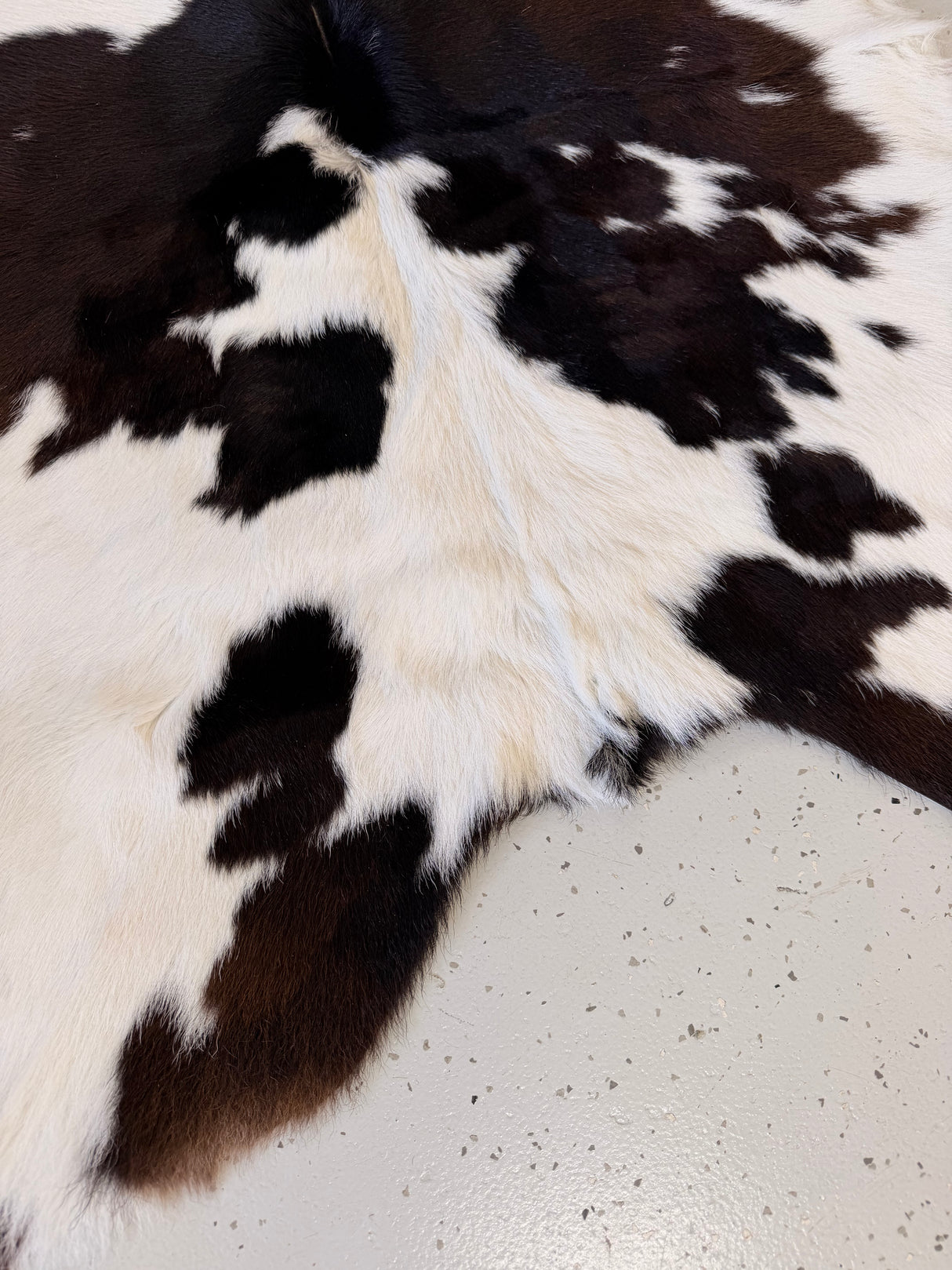 Calf Hide Floor Rug 081