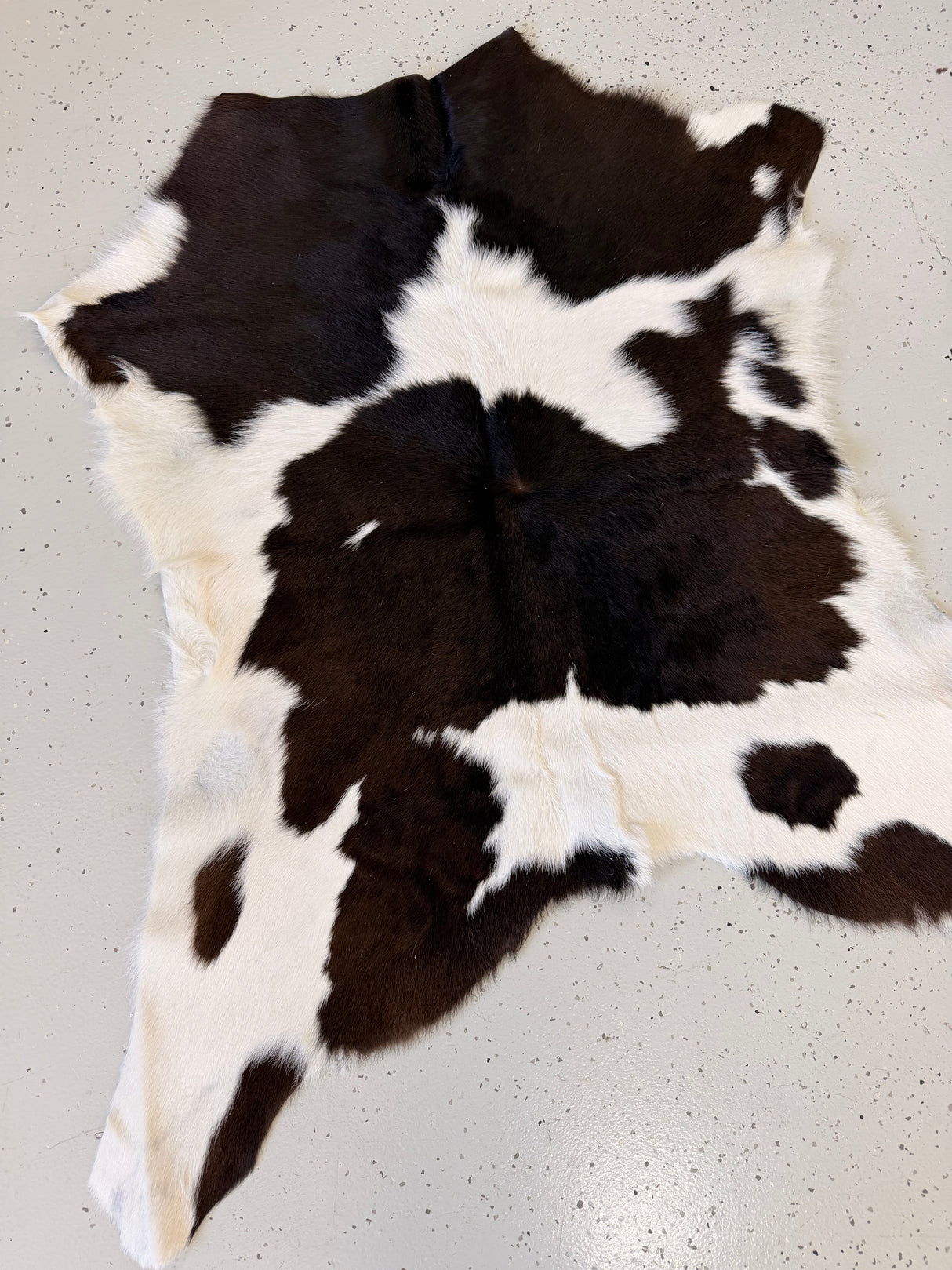 Calf Hide Floor Rug 082