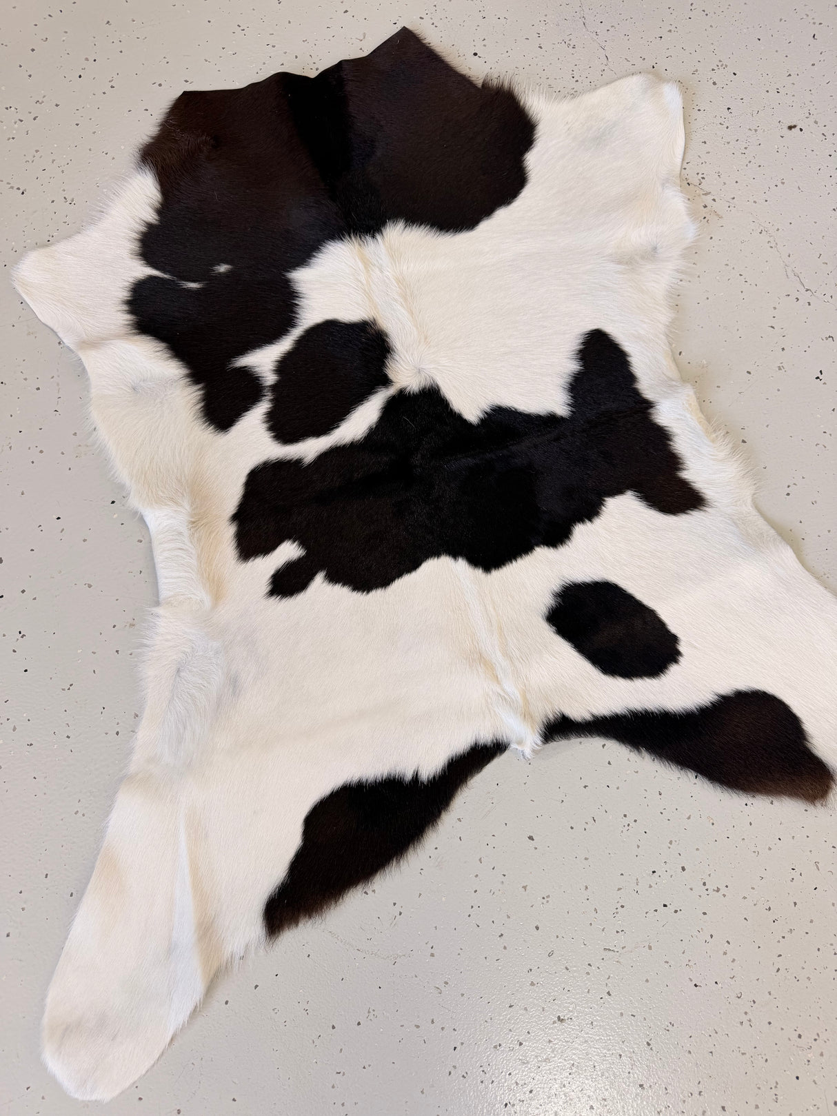 Calf Hide Floor Rug 084