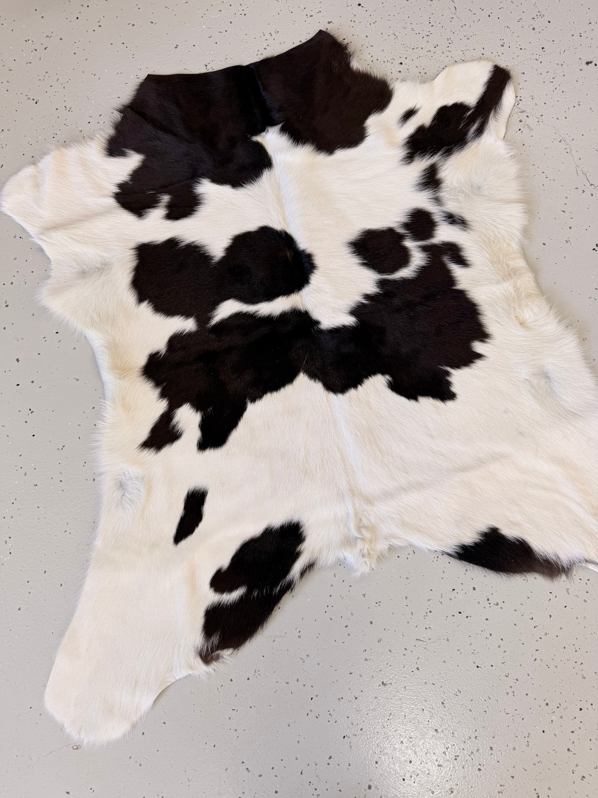 Calf Hide Floor Rug 085