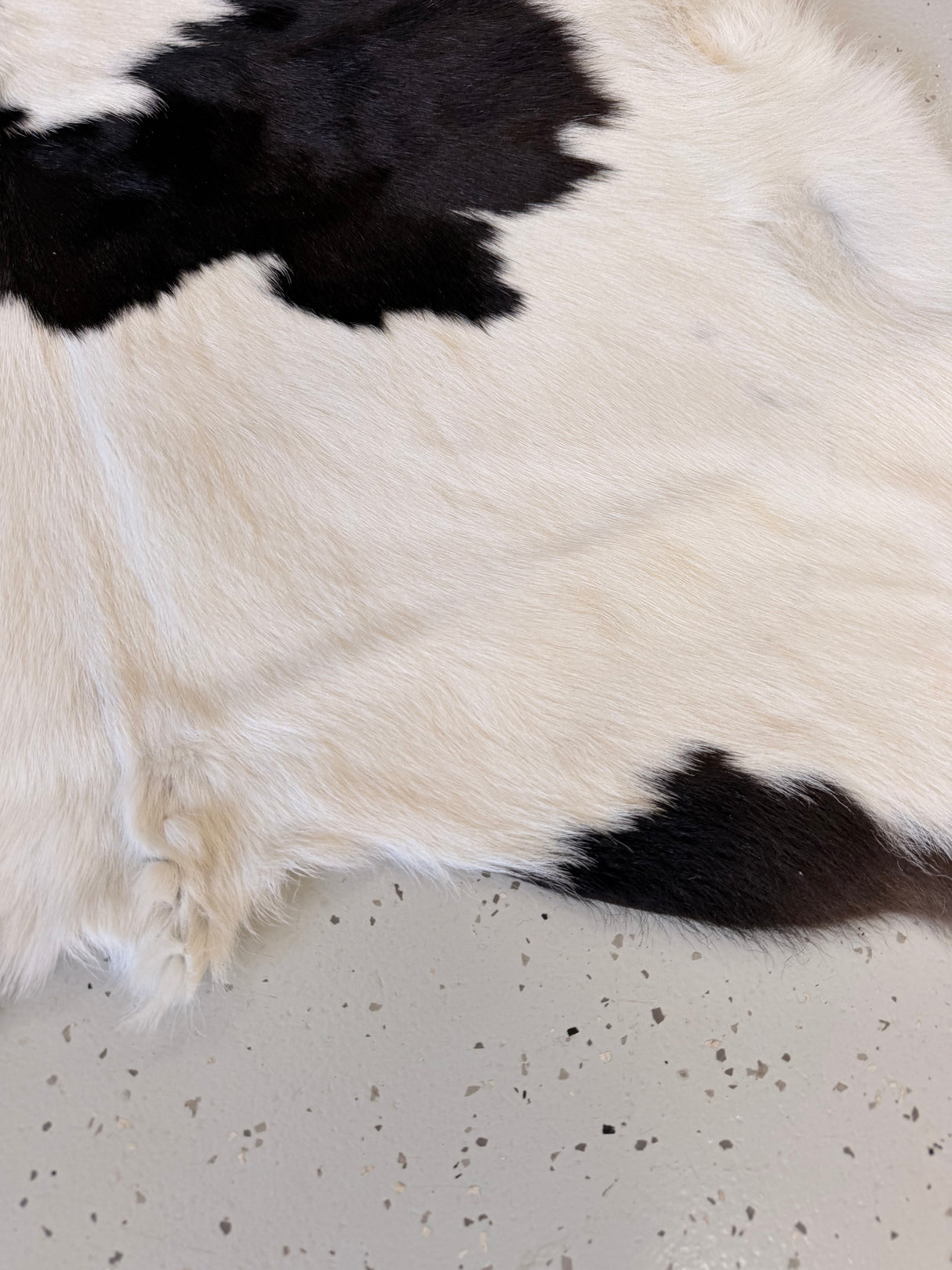 Calf Hide Floor Rug 085