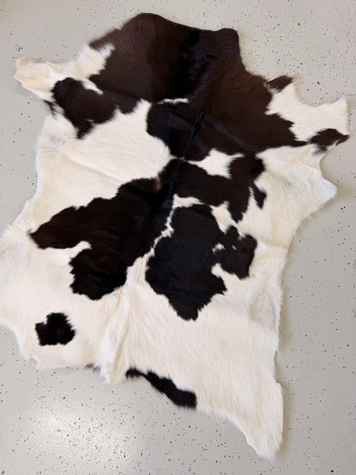 Calf Hide Floor Rug 086