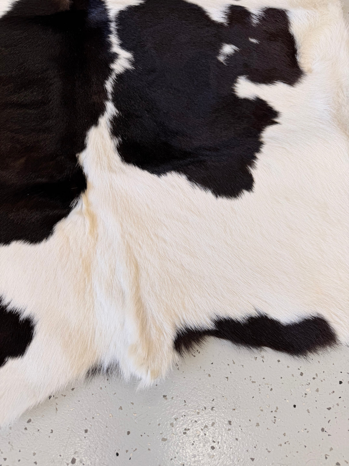 Calf Hide Floor Rug 086