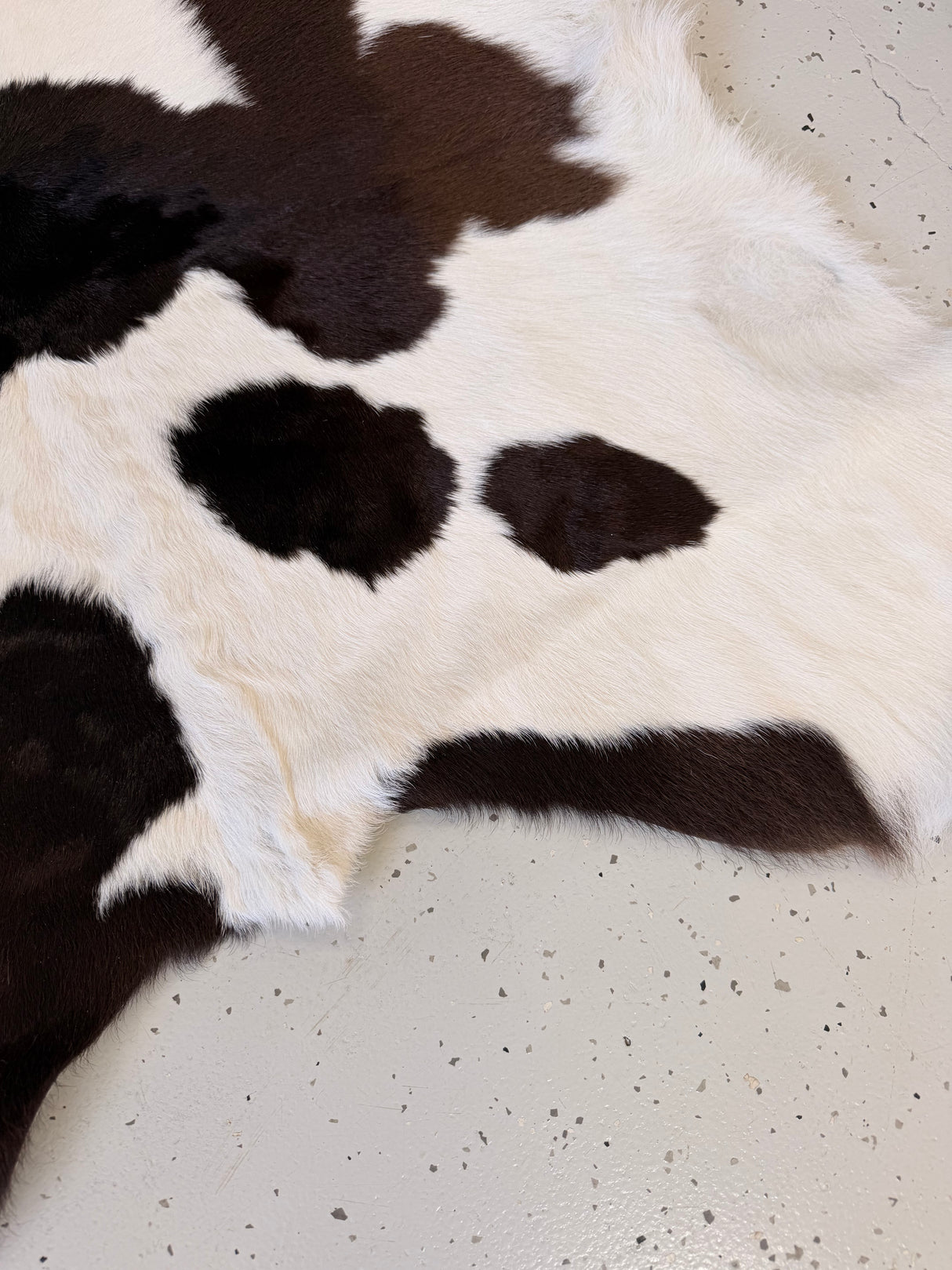Calf Hide Floor Rug 089