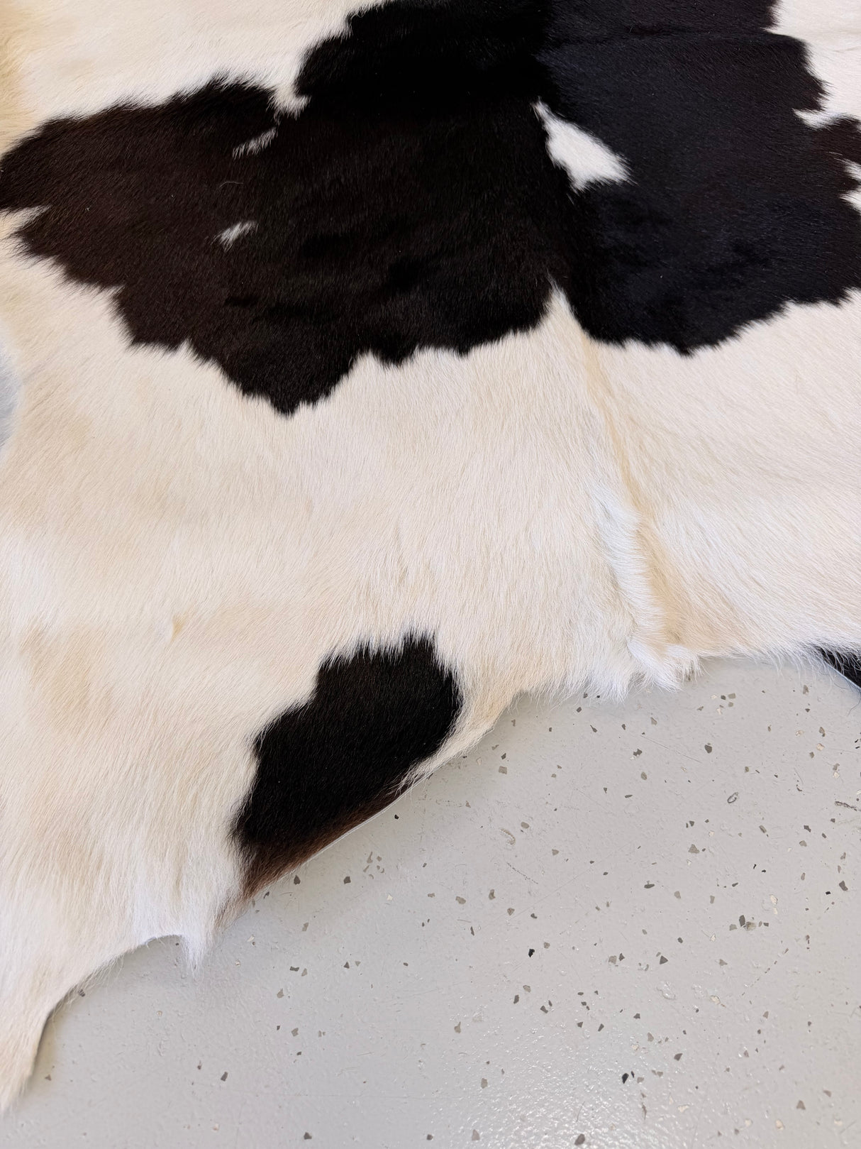 Calf Hide Floor Rug 091