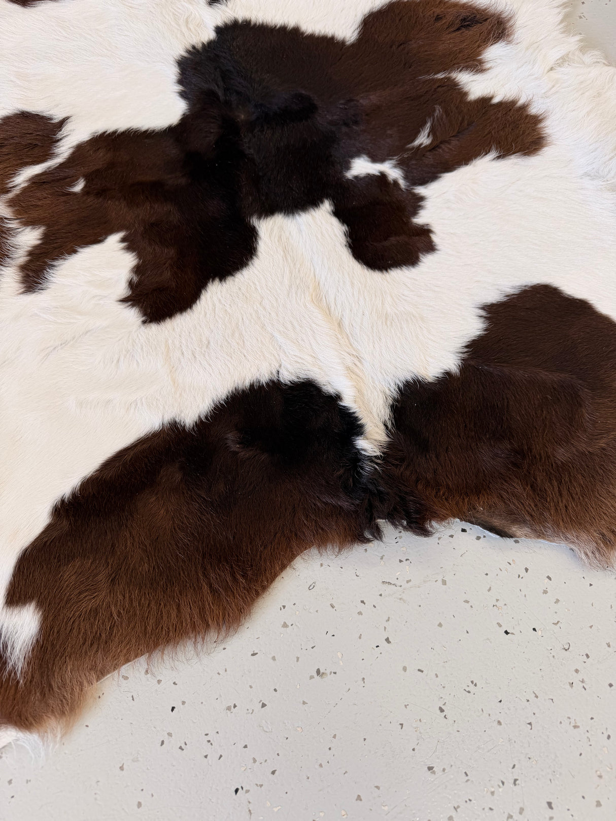 Calf Hide Floor Rug 093