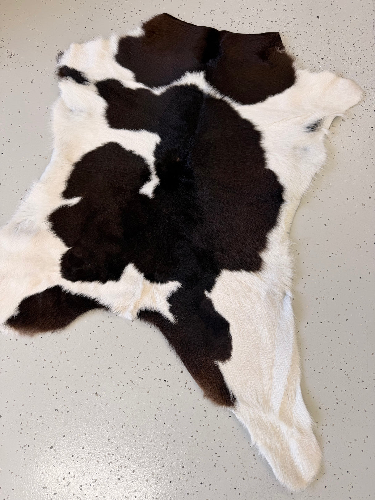 Calf Hide Floor Rug 094