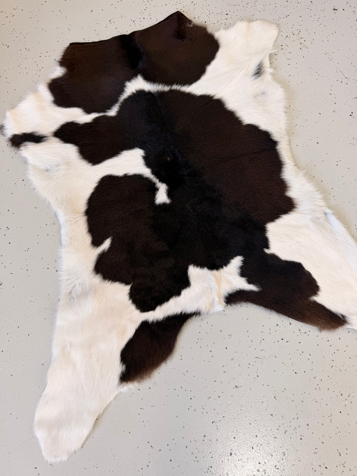 Calf Hide Floor Rug 094