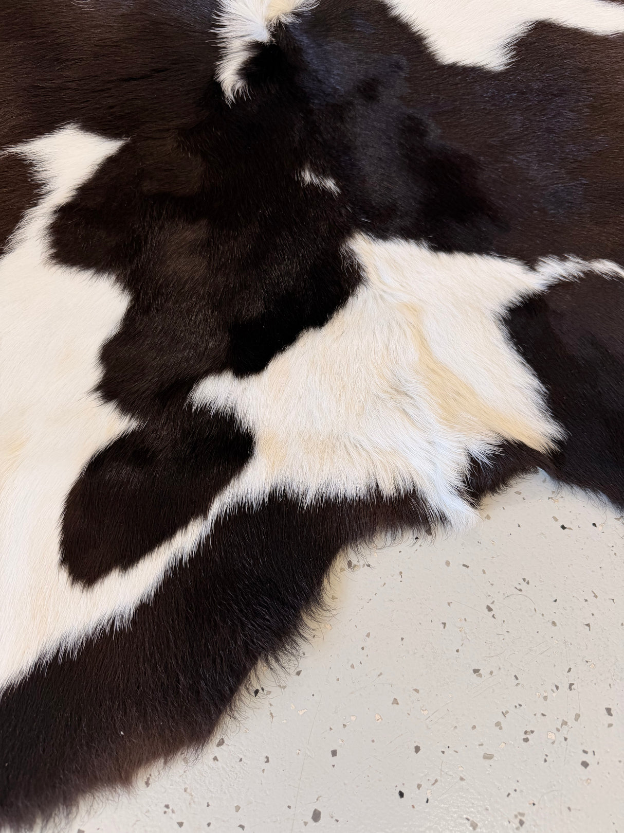 Calf Hide Floor Rug 096