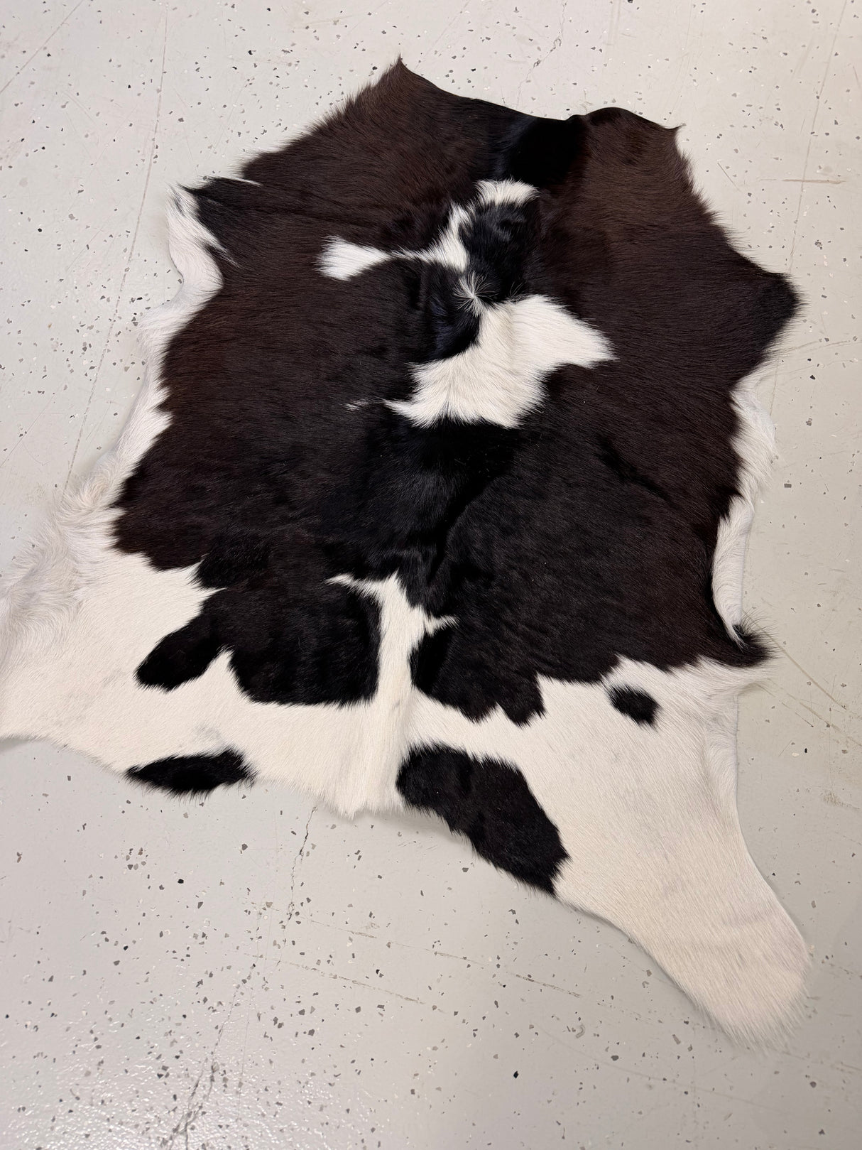 Calf Hide Floor Rug 098