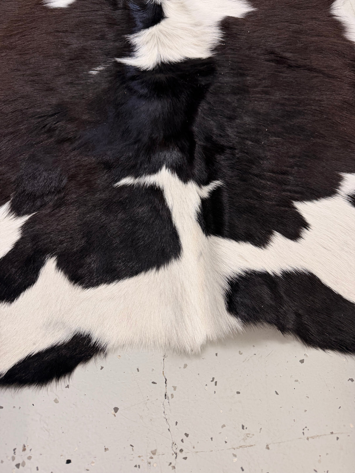 Calf Hide Floor Rug 098