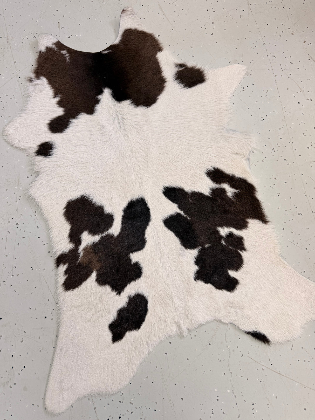 Calf Hide Floor Rug 100