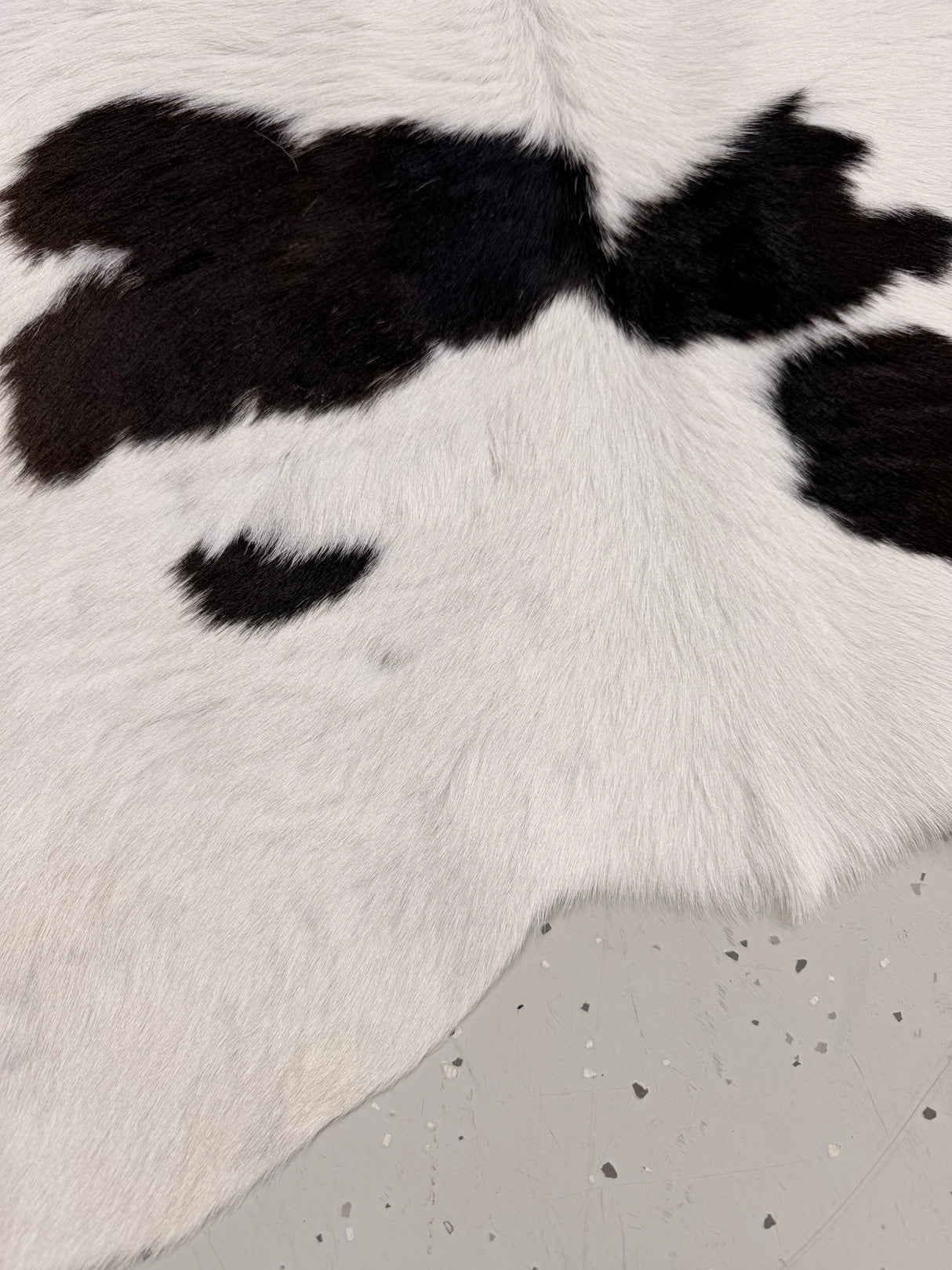 Calf Hide Floor Rug 101