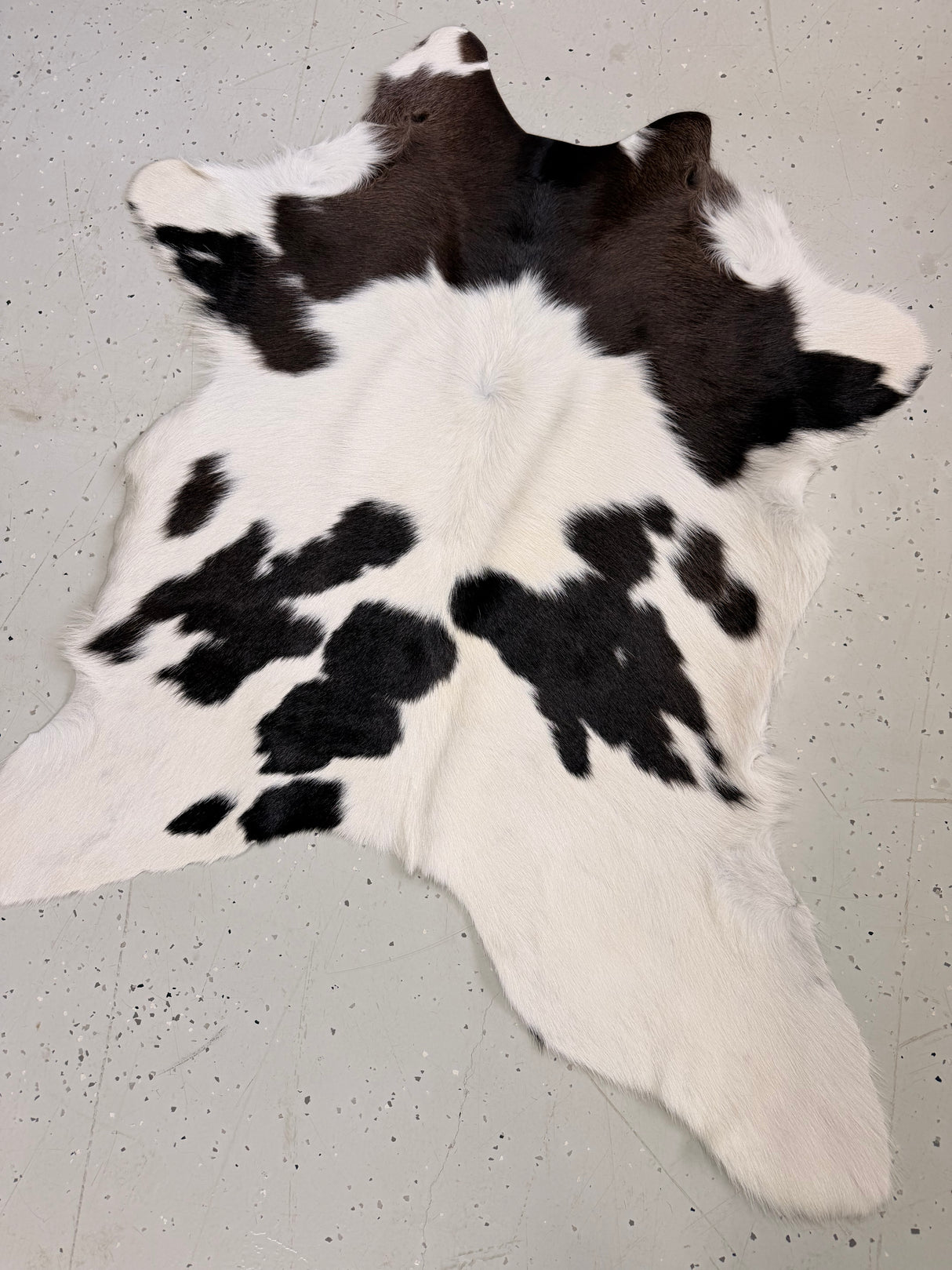 Calf Hide Floor Rug 102