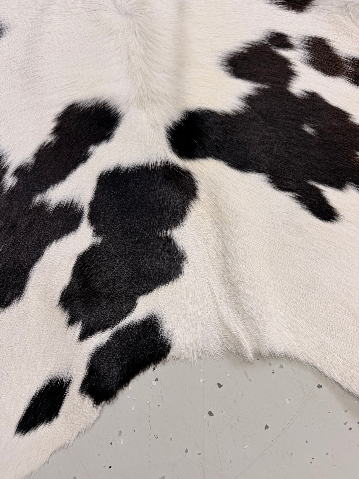 Calf Hide Floor Rug 102