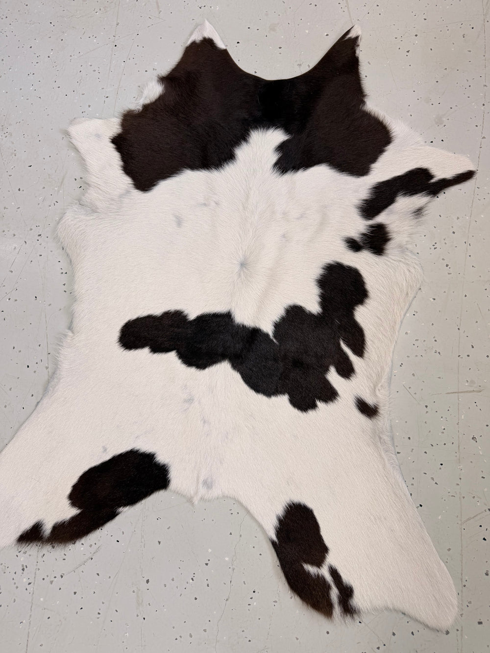 Calf Hide Floor Rug 103