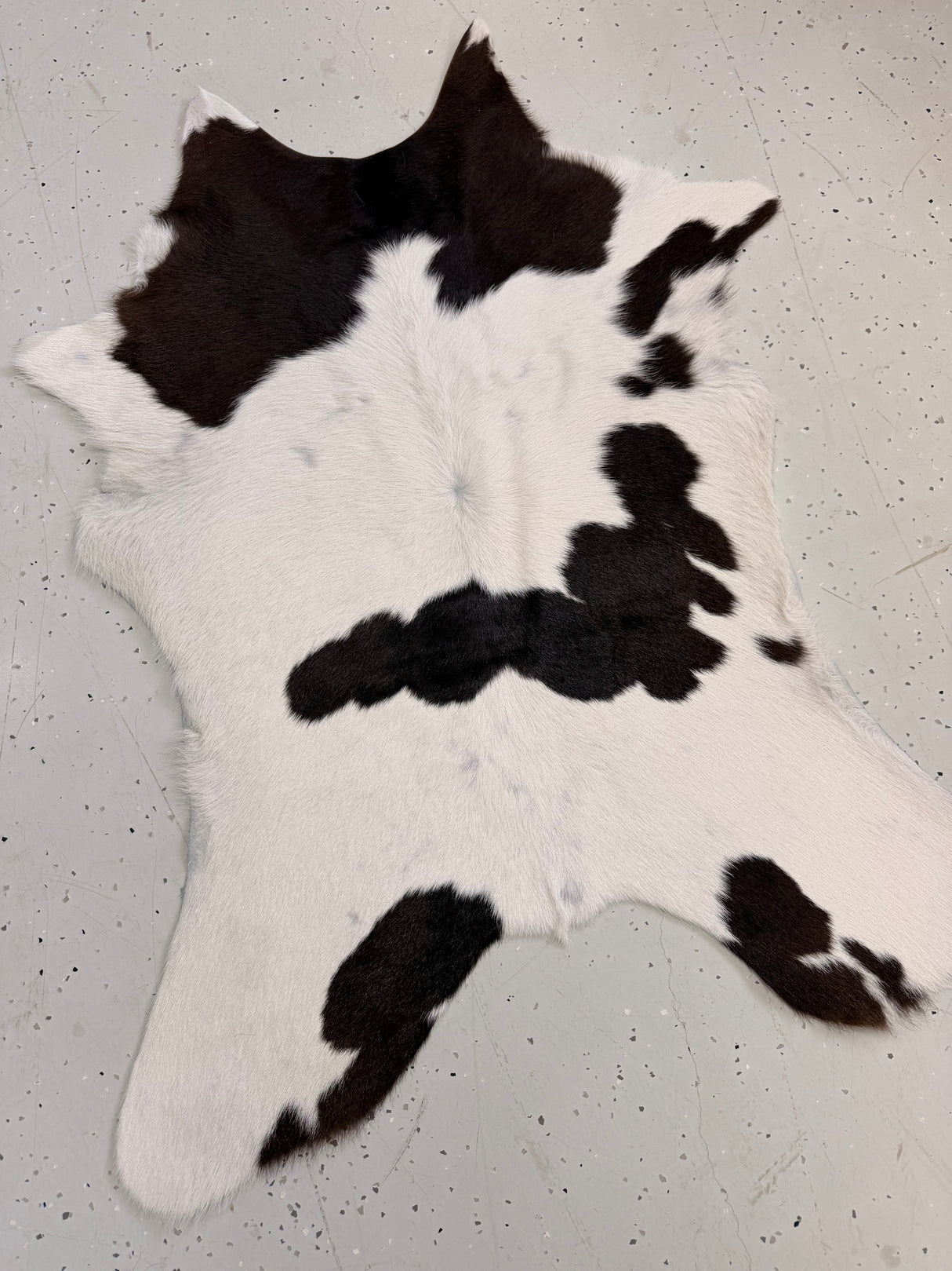 Calf Hide Floor Rug 103