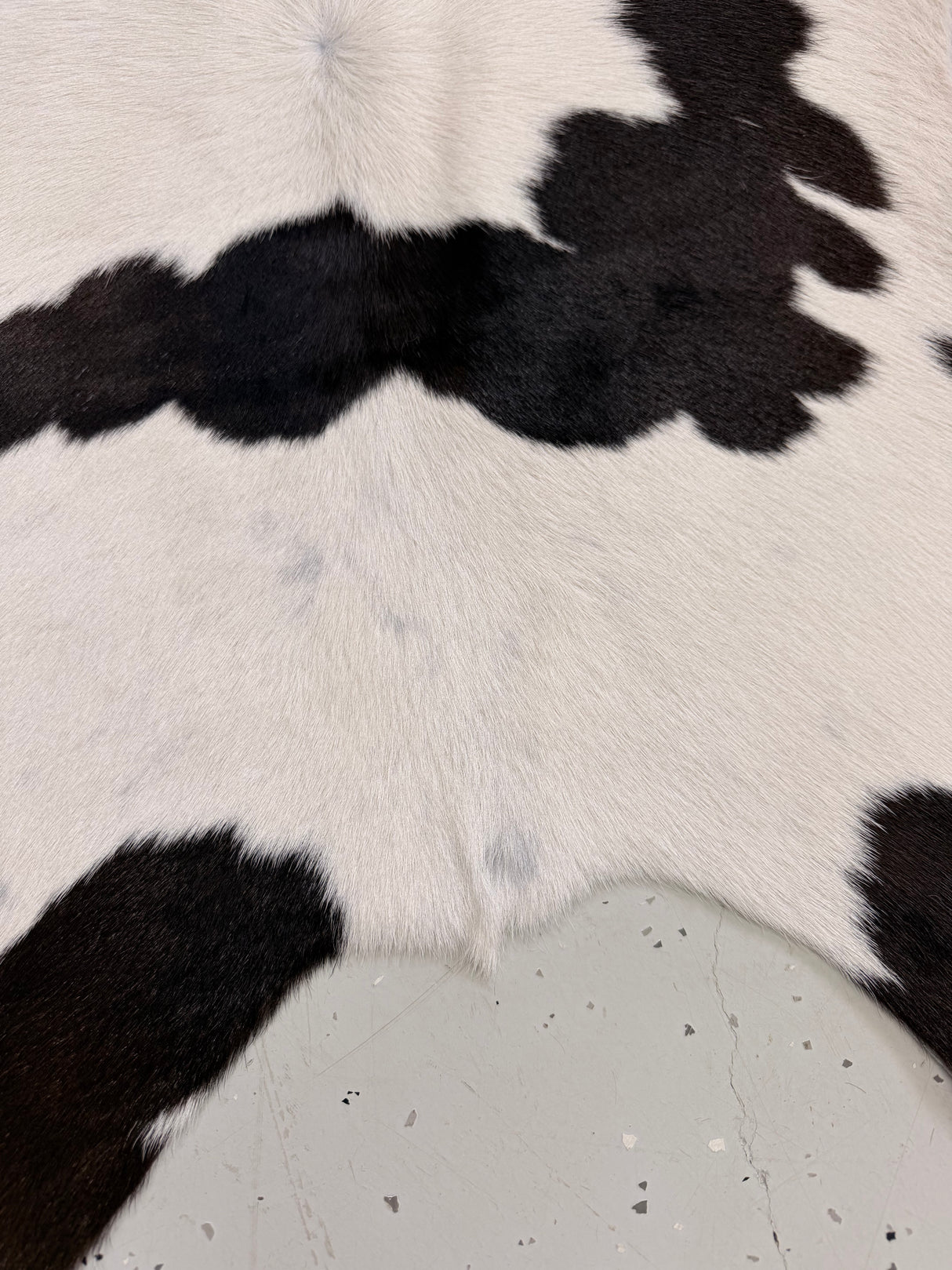 Calf Hide Floor Rug 103