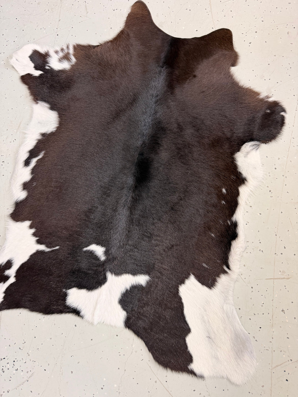 Calf Hide Floor Rug 104