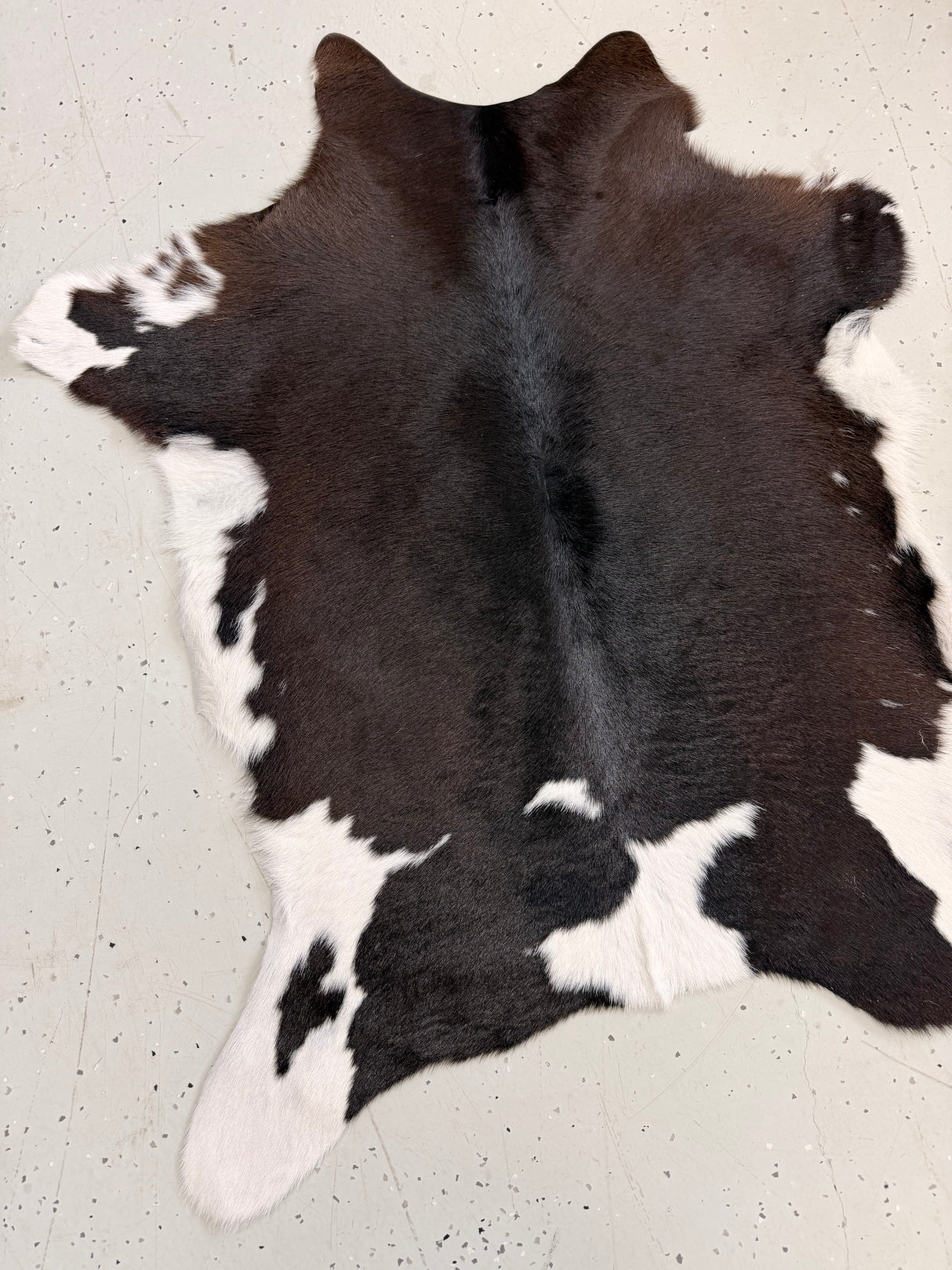 Calf Hide Floor Rug 104