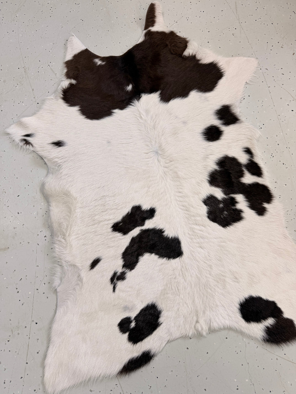 Calf Hide Floor Rug 105