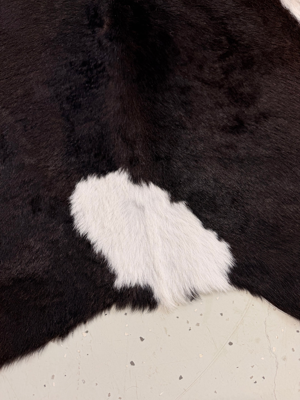 Calf Hide Floor Rug 106
