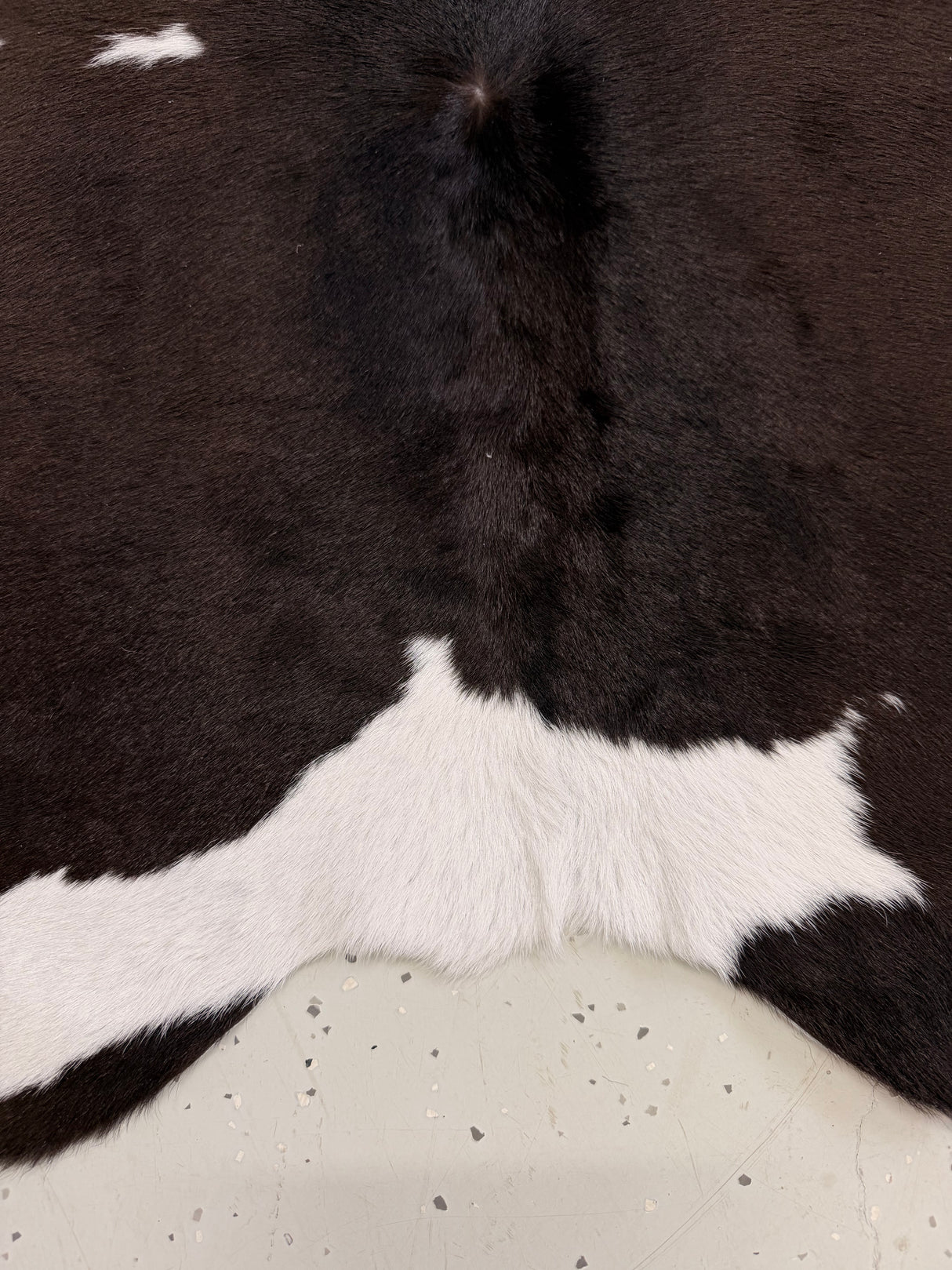 Calf Hide Floor Rug 109