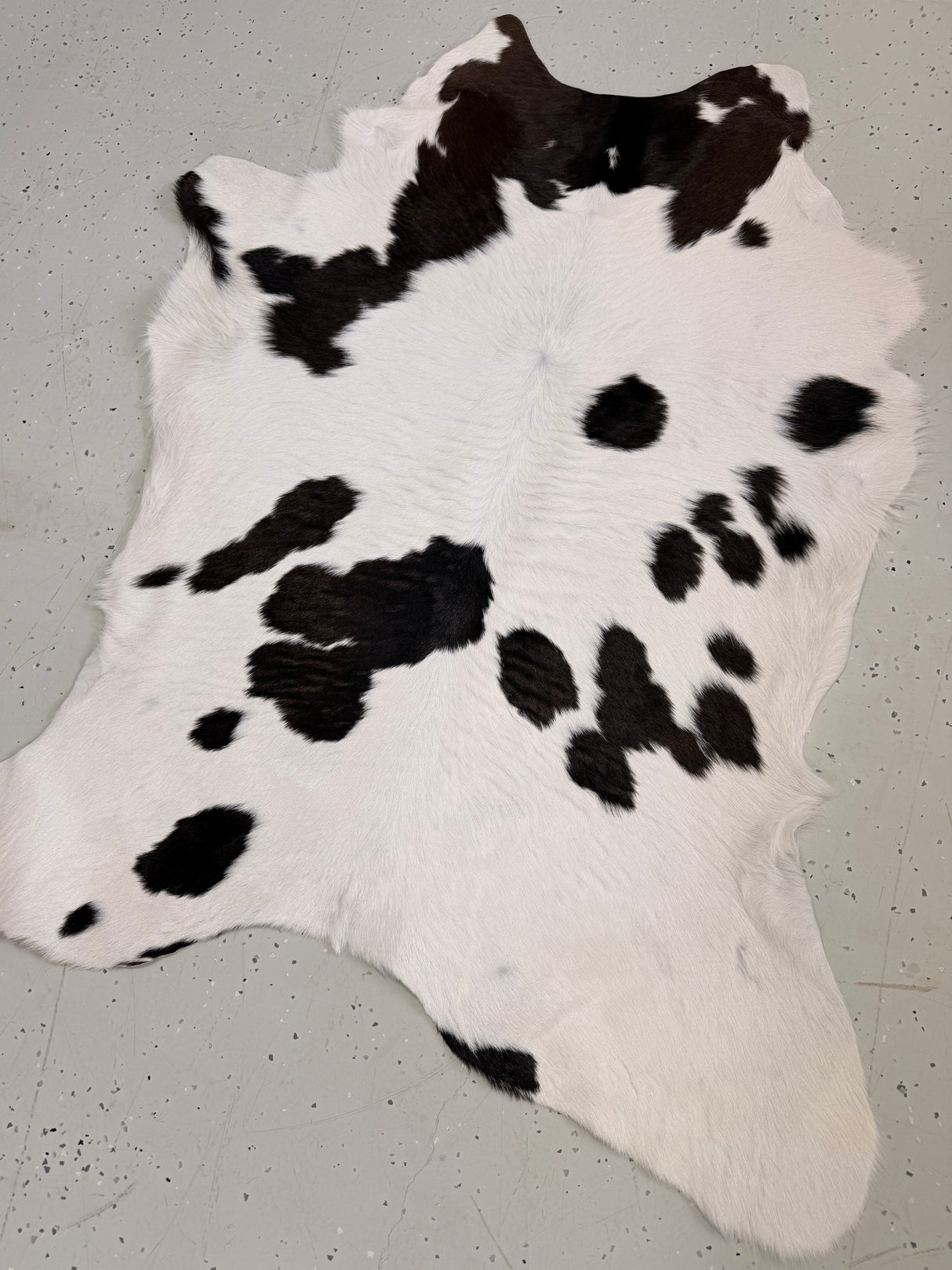 Calf Hide Floor Rug 111