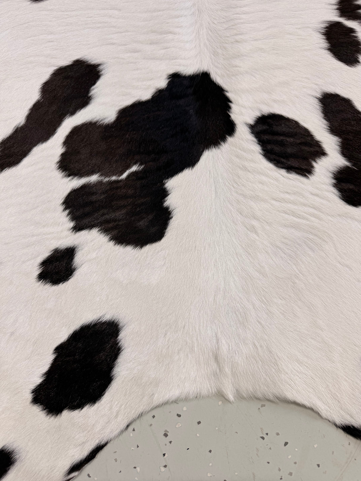 Calf Hide Floor Rug 111