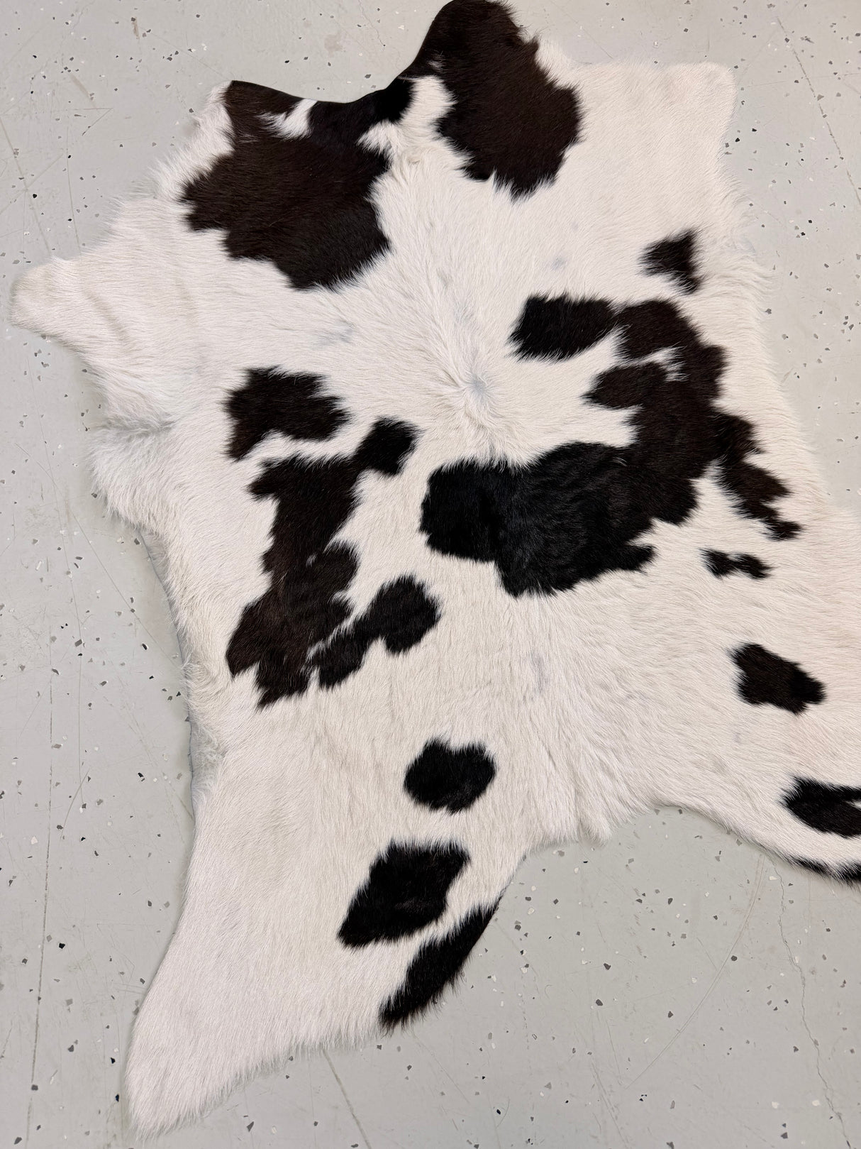 Calf Hide Floor Rug 112