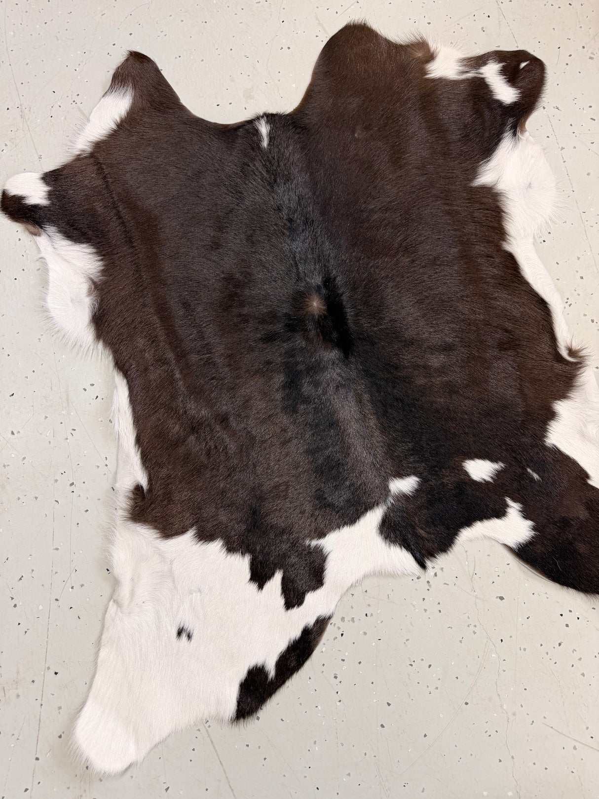Calf Hide Floor Rug 113