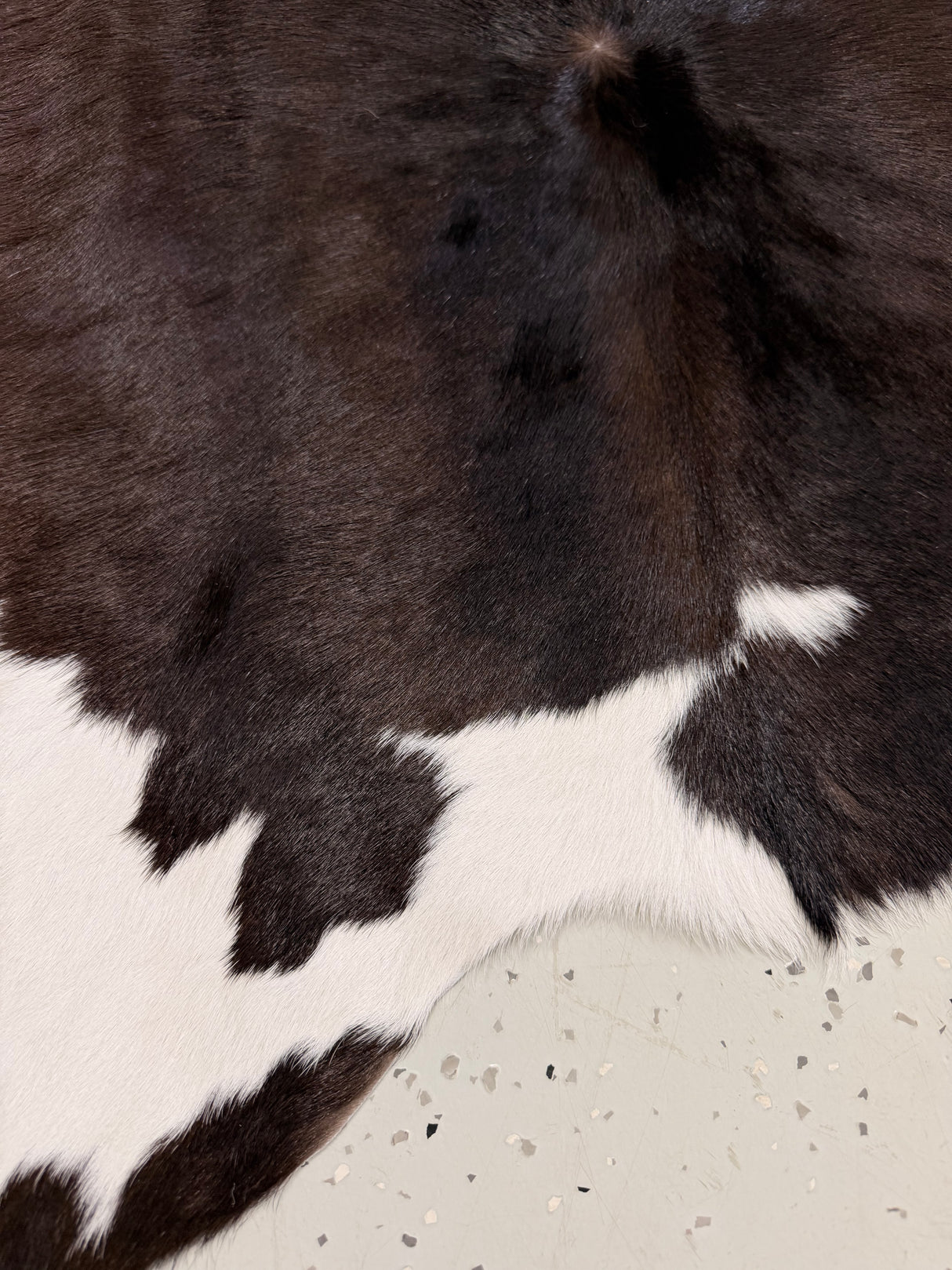 Calf Hide Floor Rug 113