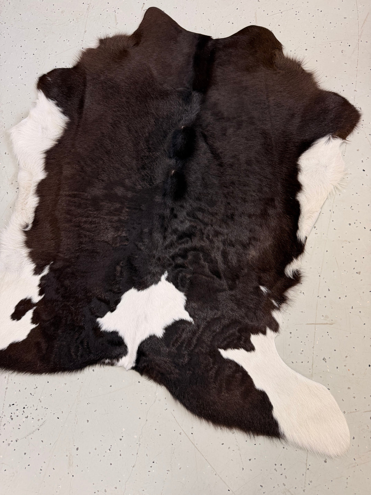 Calf Hide Floor Rug 116