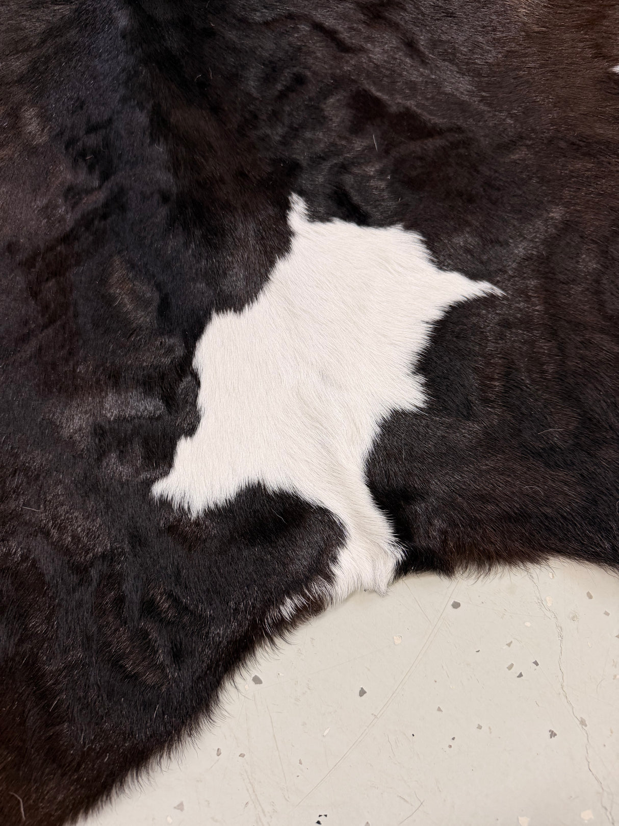 Calf Hide Floor Rug 116