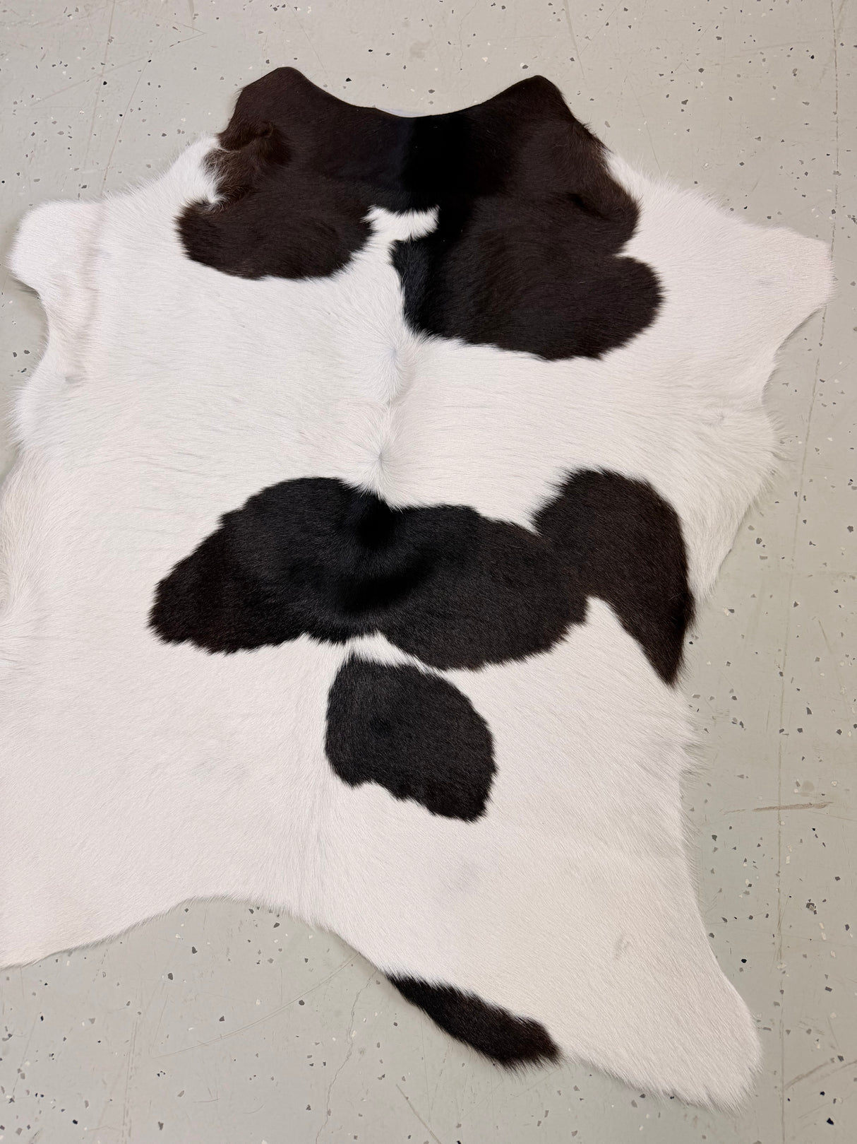 Calf Hide Floor Rug 117
