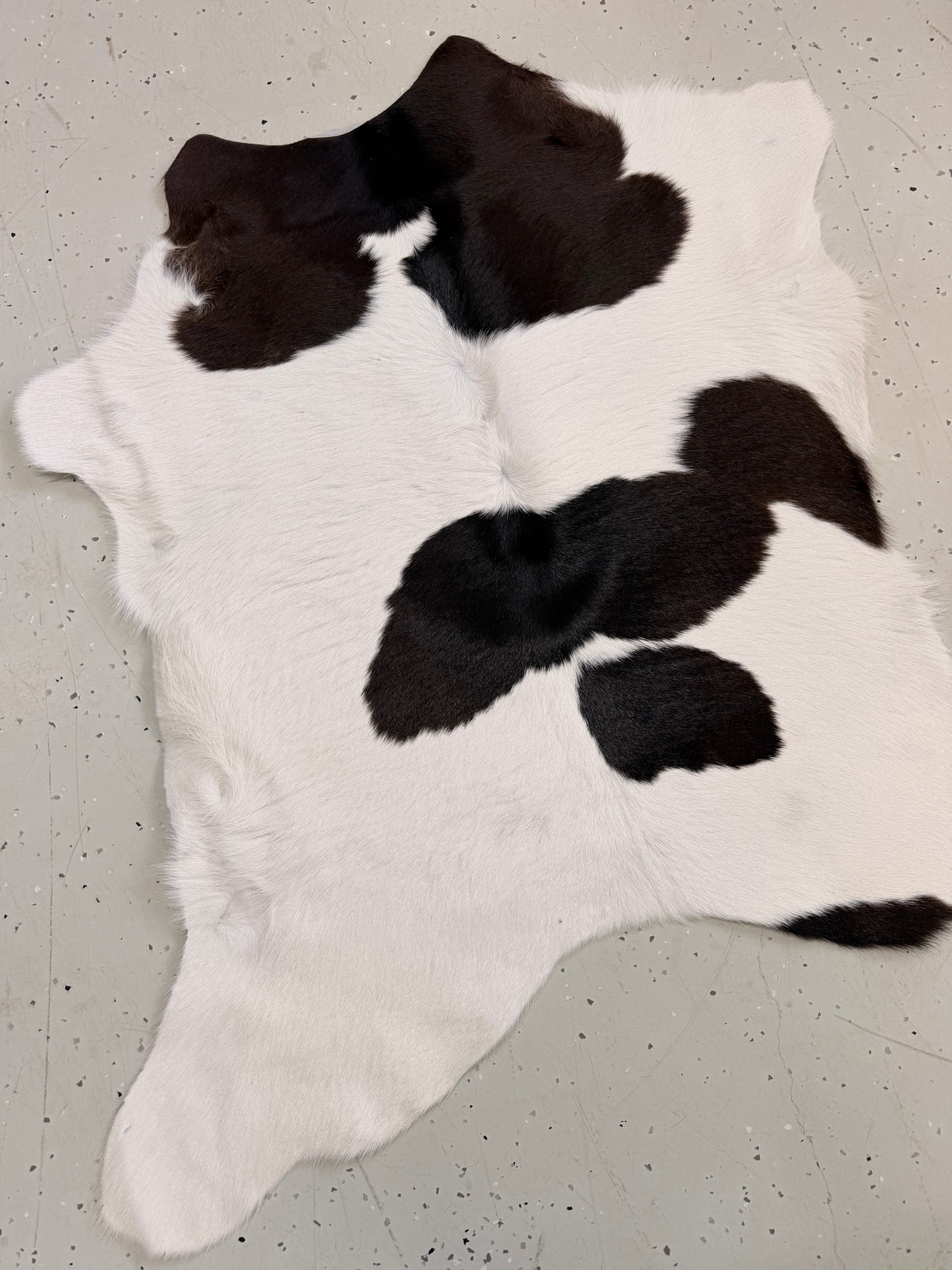 Calf Hide Floor Rug 117