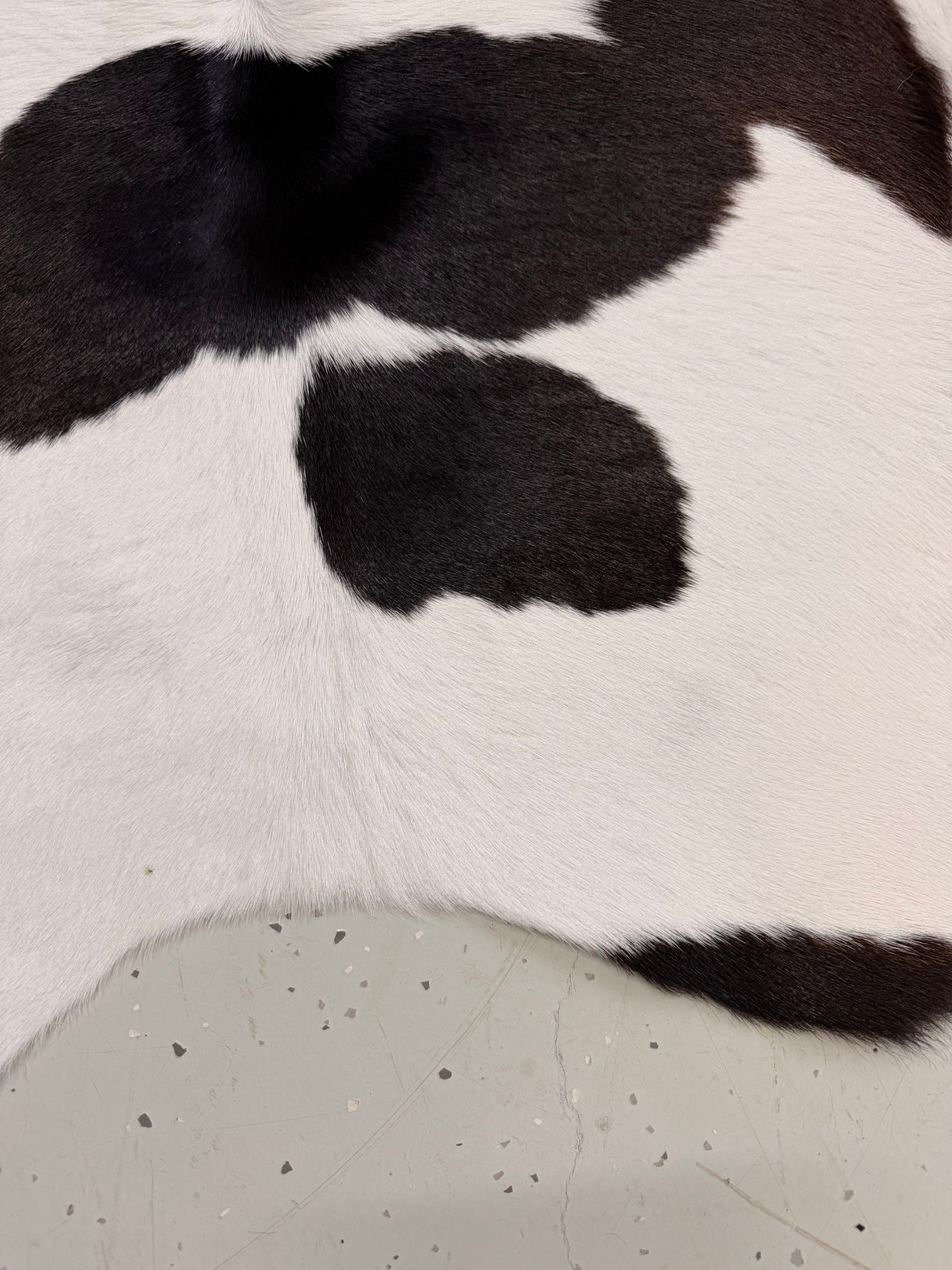 Calf Hide Floor Rug 117