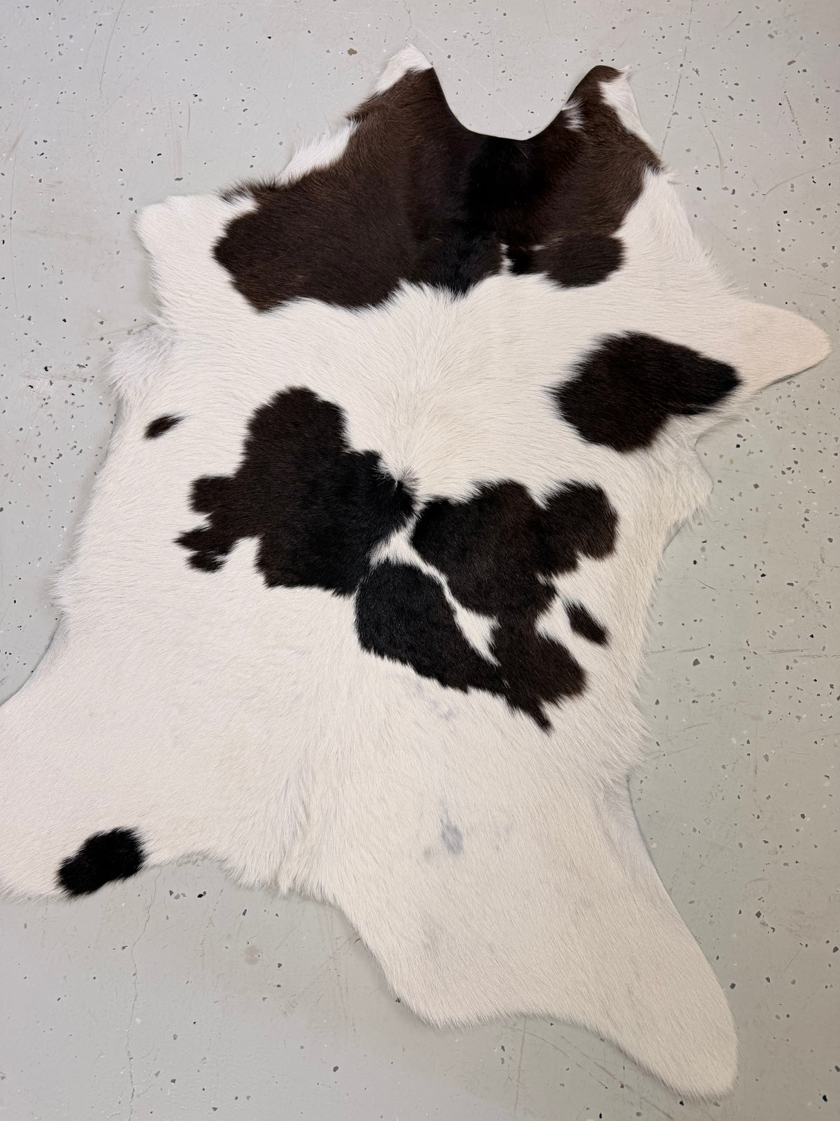 Calf Hide Floor Rug 119