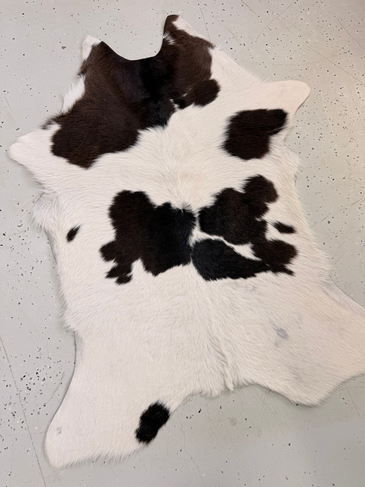 Calf Hide Floor Rug 119