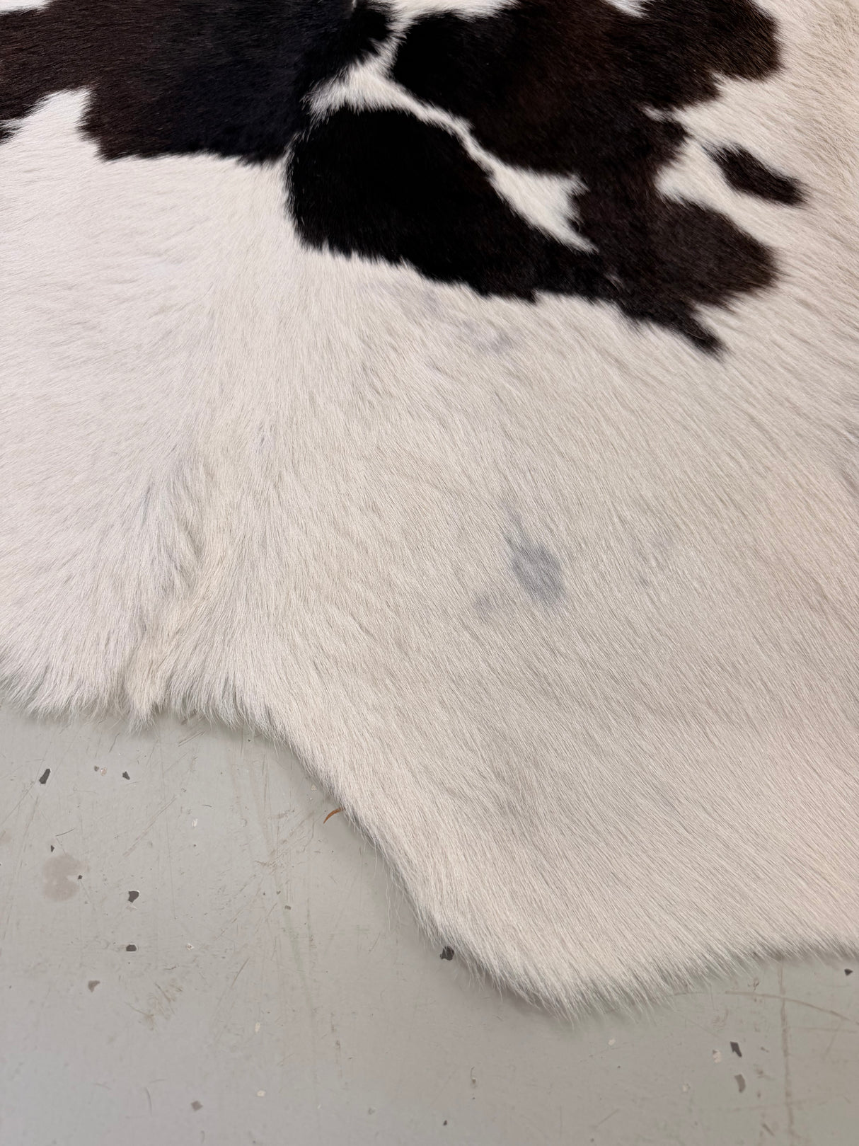 Calf Hide Floor Rug 119