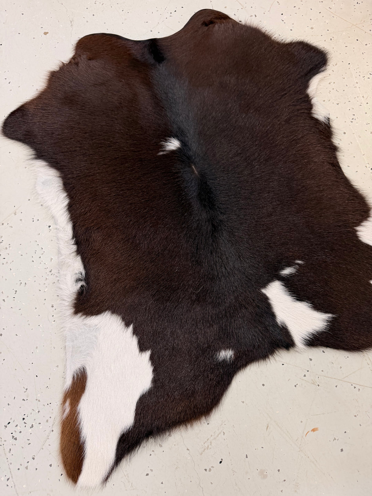Calf Hide Floor Rug 121