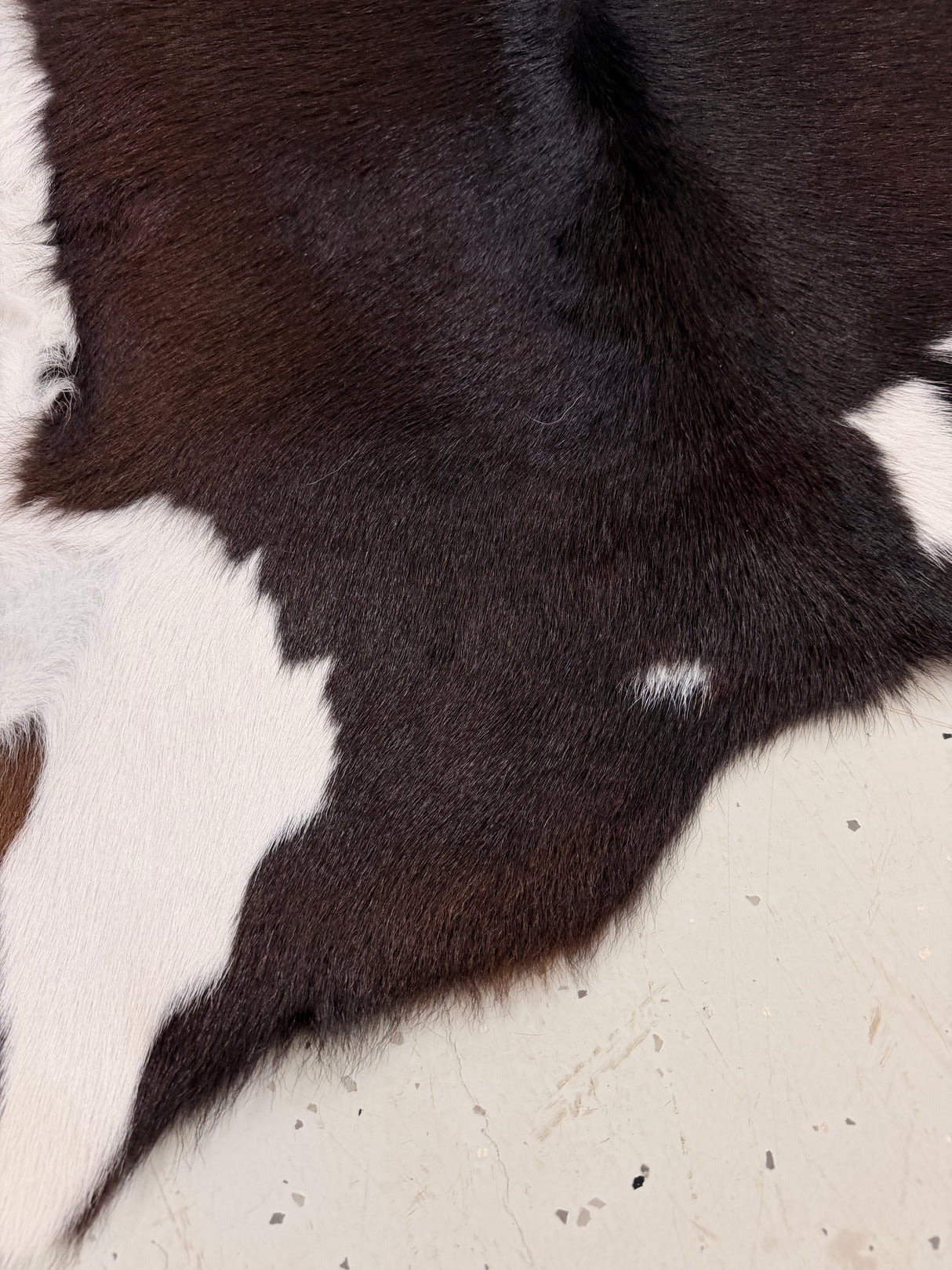 Calf Hide Floor Rug 121