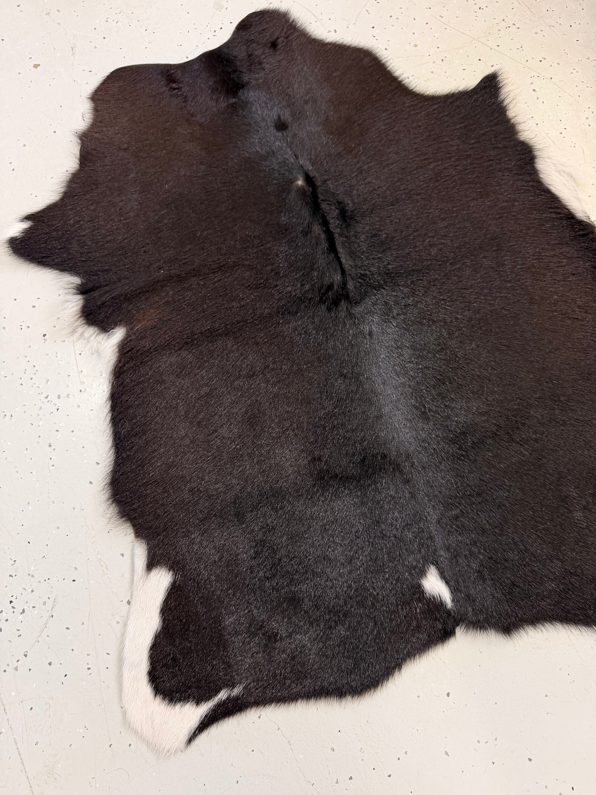 Calf Hide Floor Rug 122