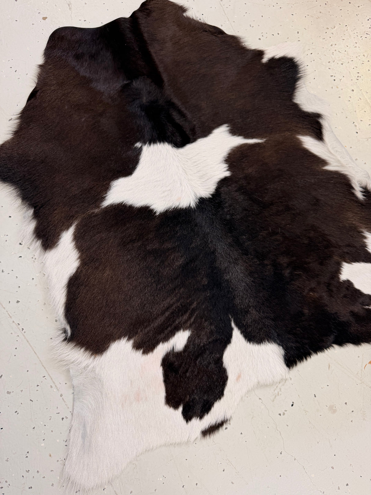 Calf Hide Floor Rug 124