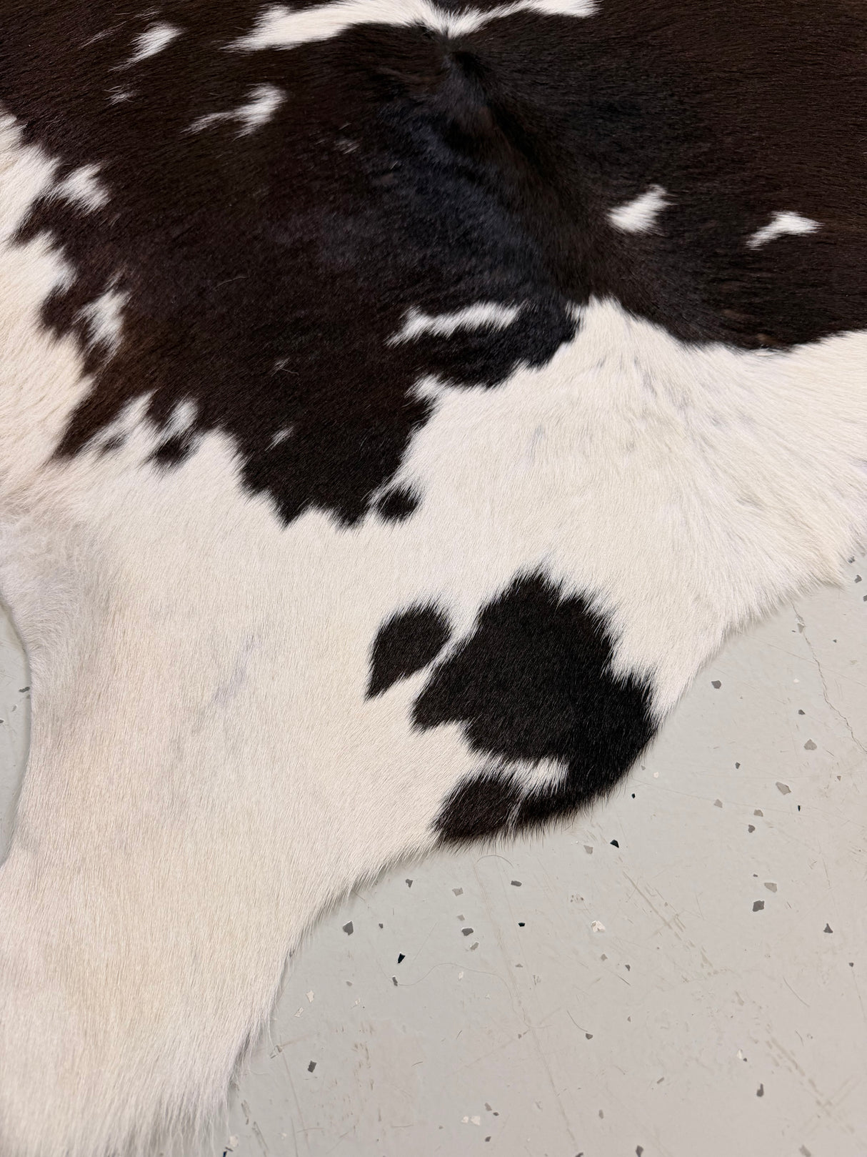 Calf Hide Floor Rug 125