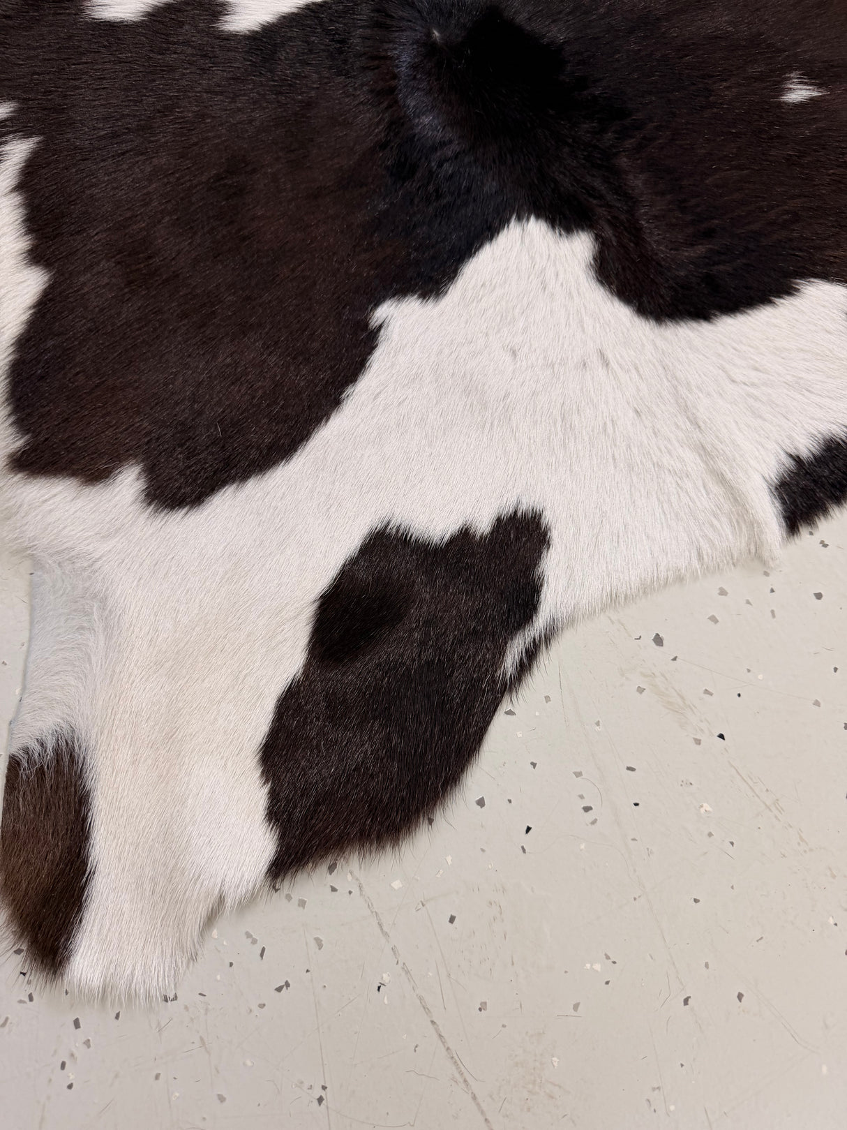 Calf Hide Floor Rug 126