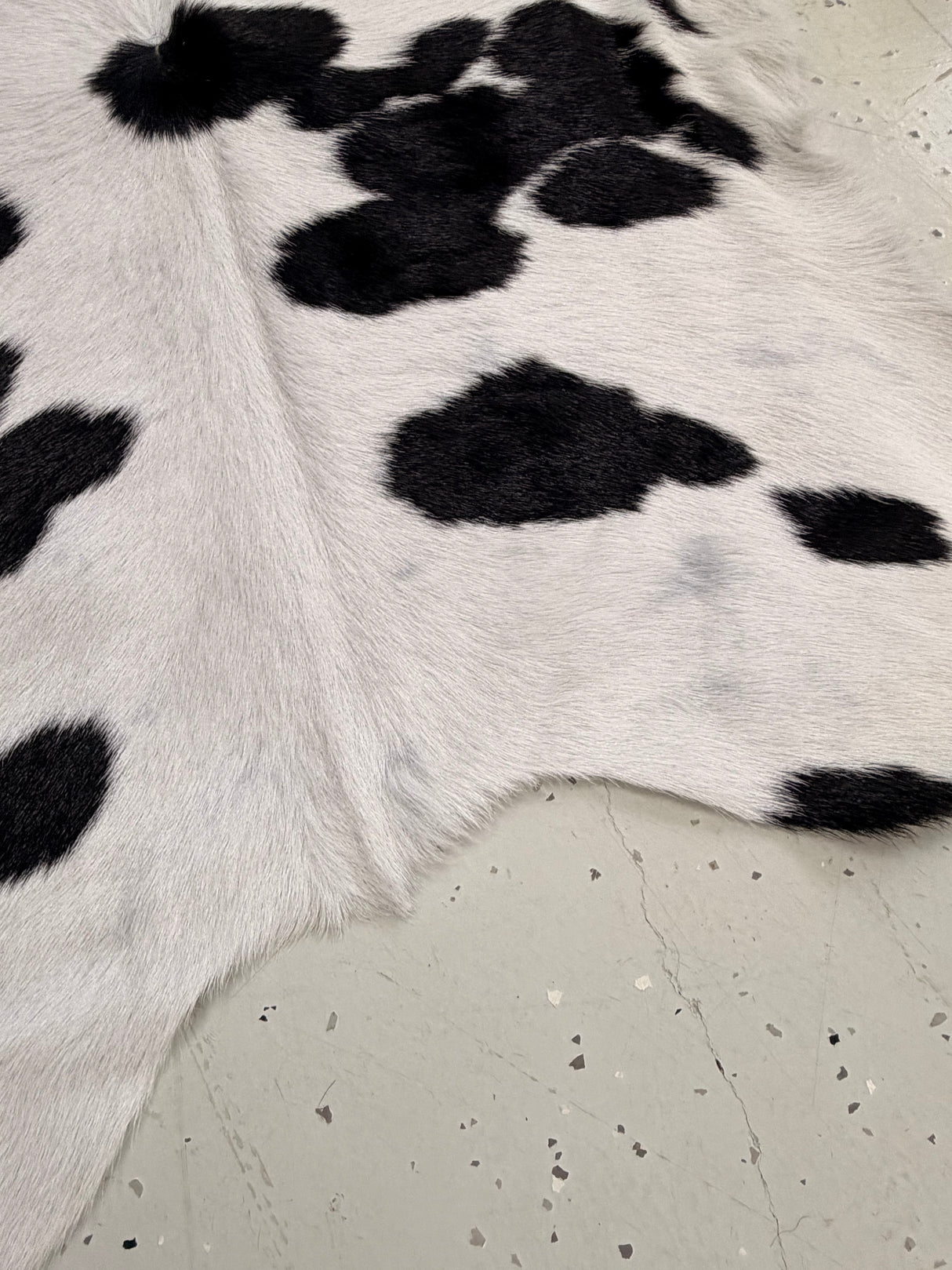 Calf Hide Floor Rug 127