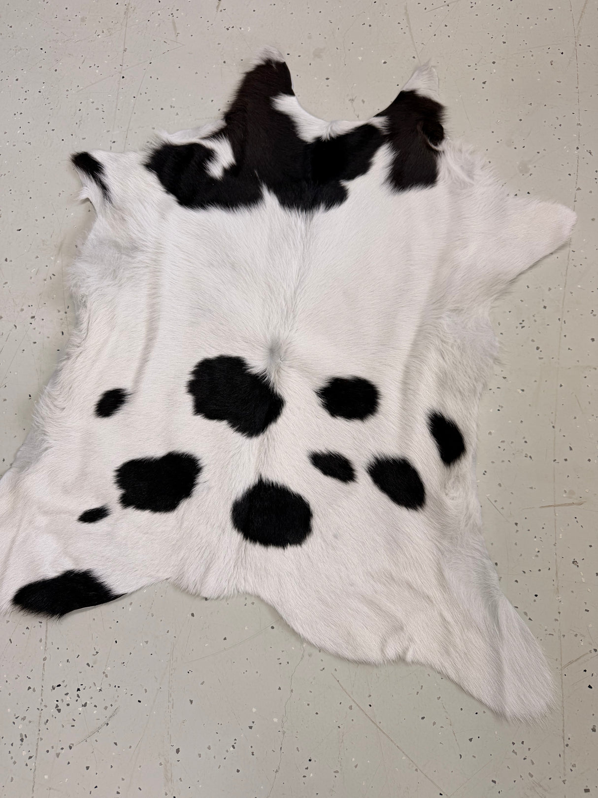 Calf Hide Floor Rug 128