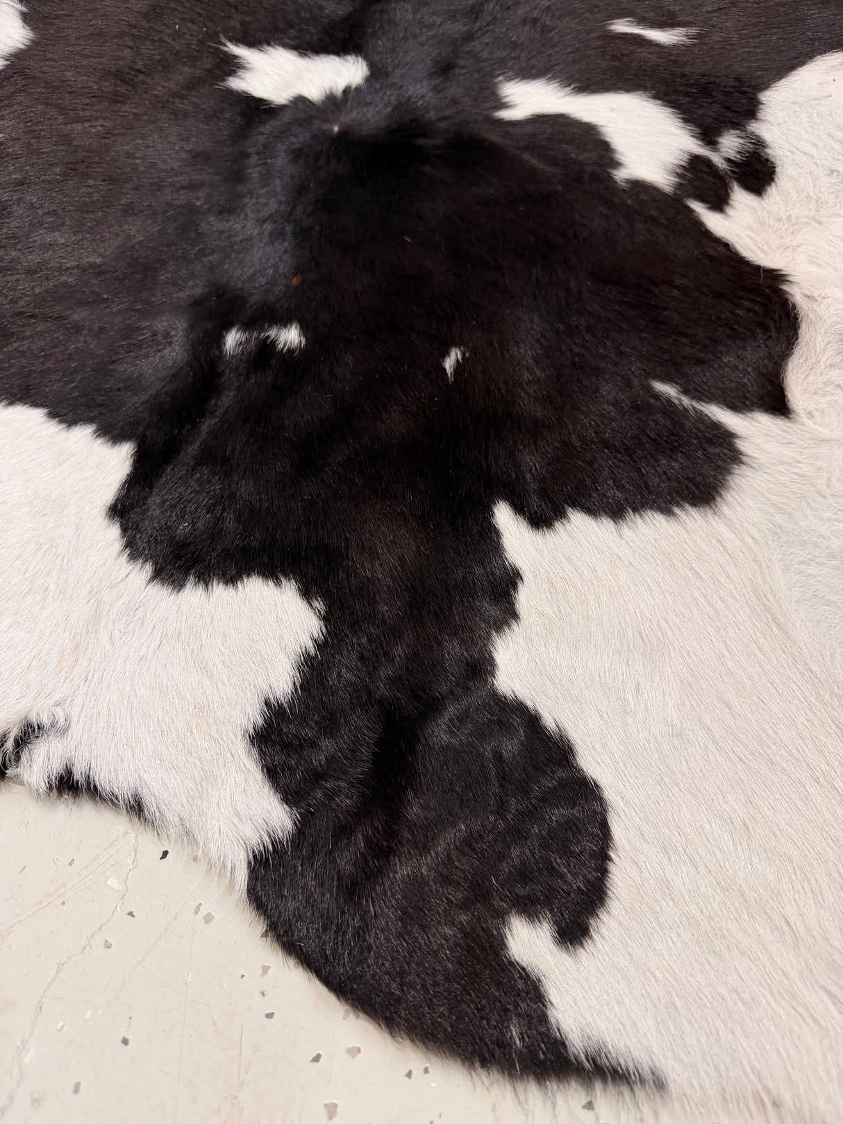 Calf Hide Floor Rug 136